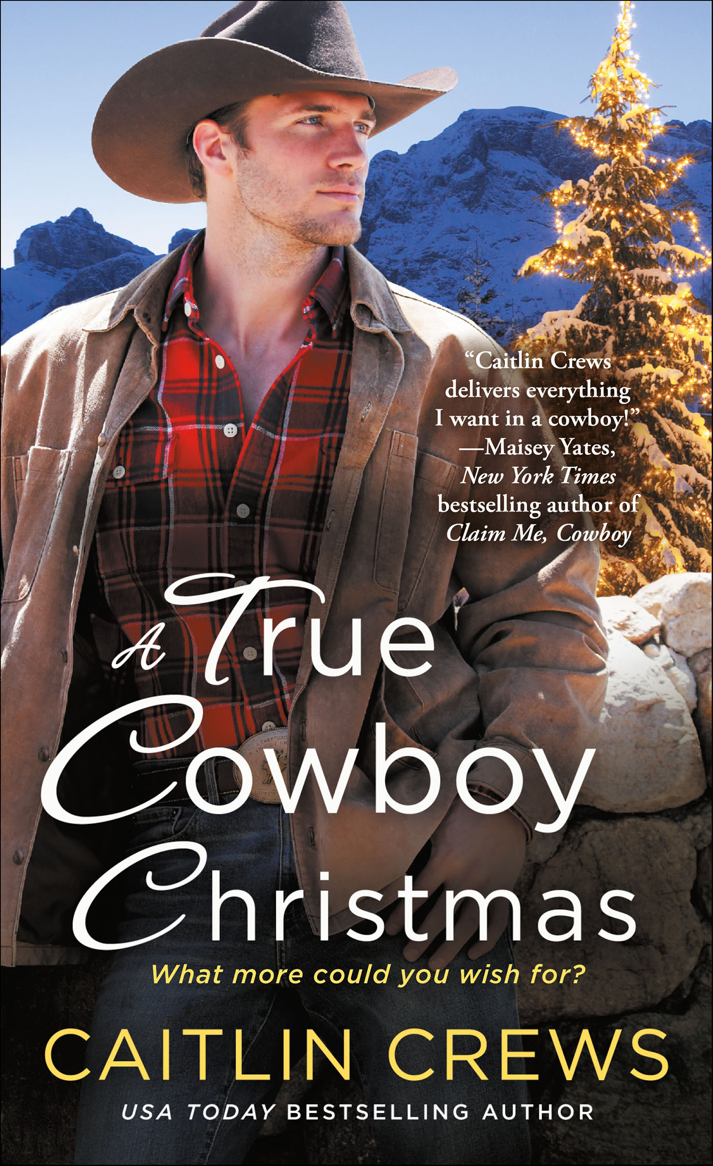 This image is the cover for the book A True Cowboy Christmas, Cold River Ranch