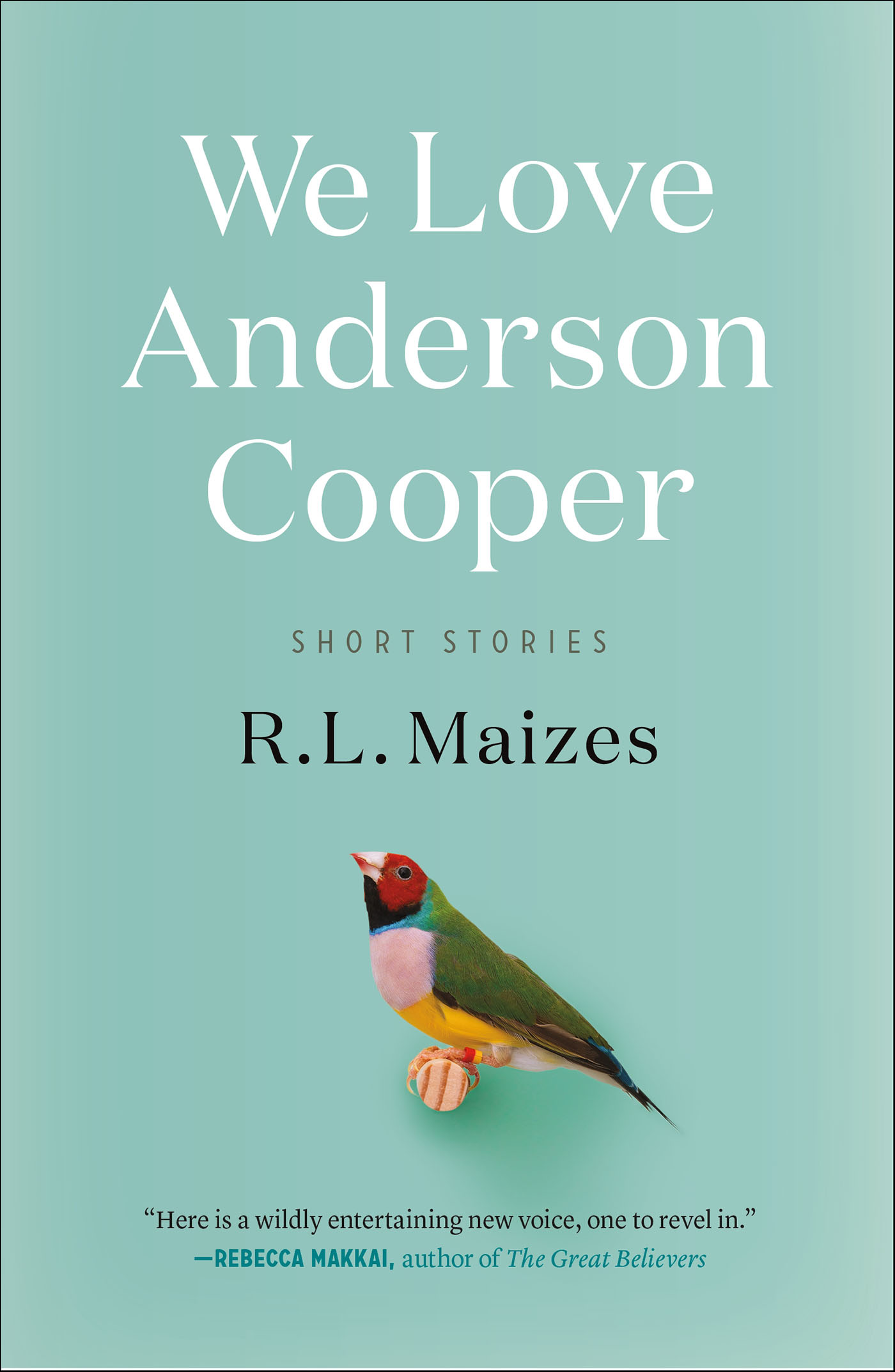 This image is the cover for the book We Love Anderson Cooper