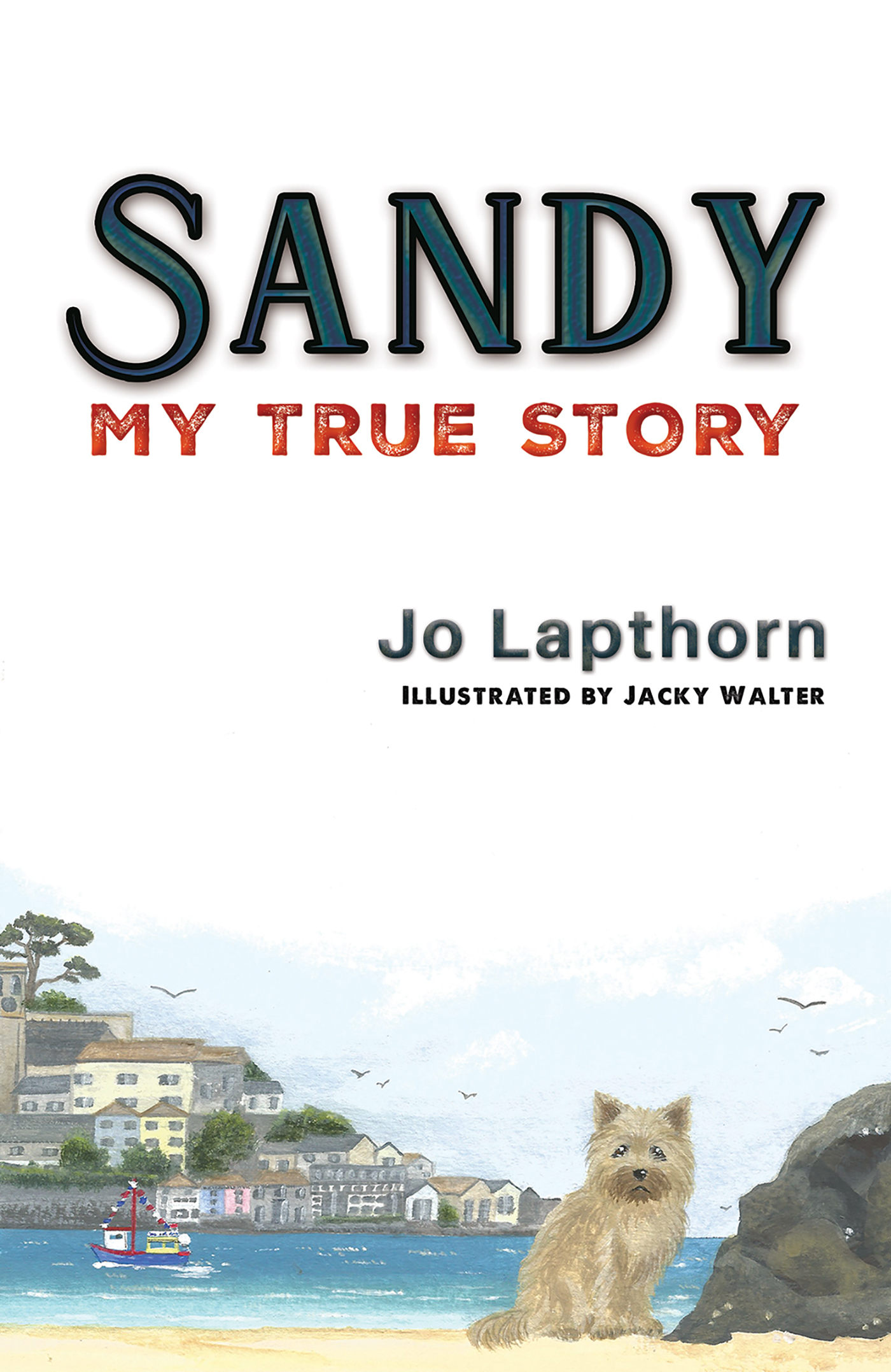 This image is the cover for the book Sandy