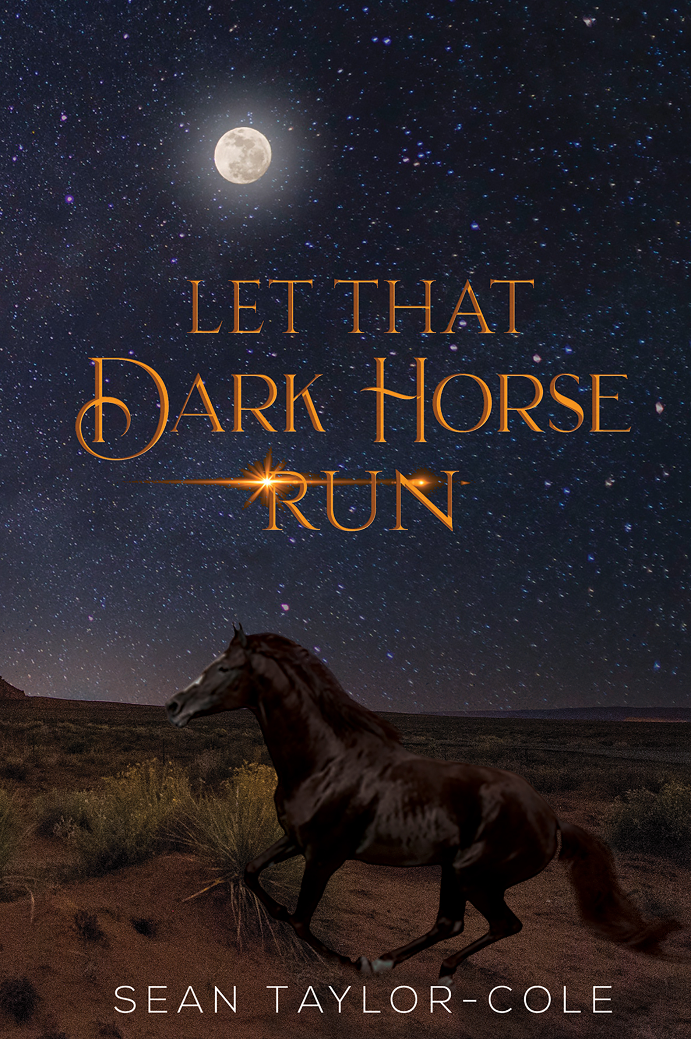 This image is the cover for the book Let That Dark Horse Run