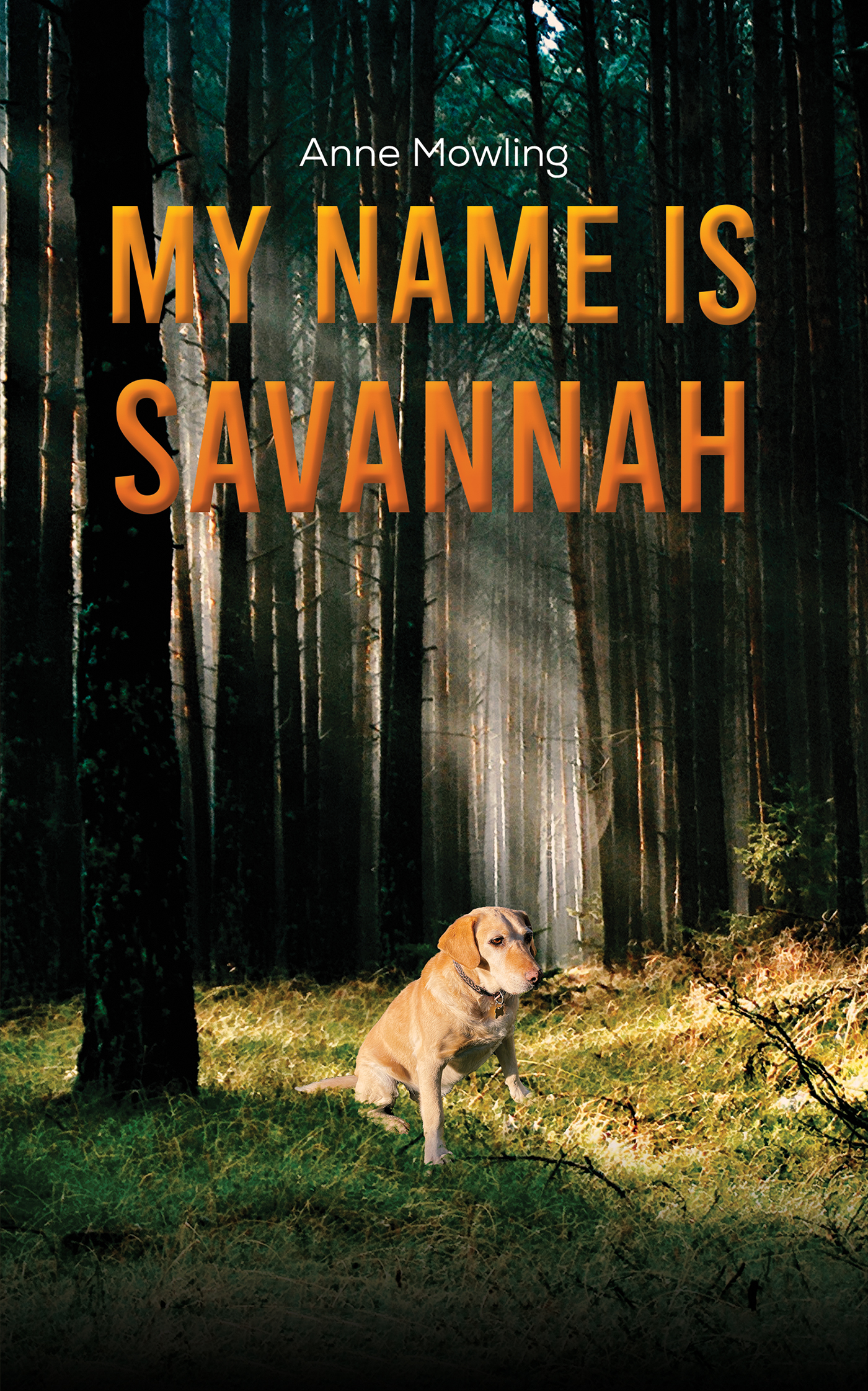 This image is the cover for the book My Name is Savannah