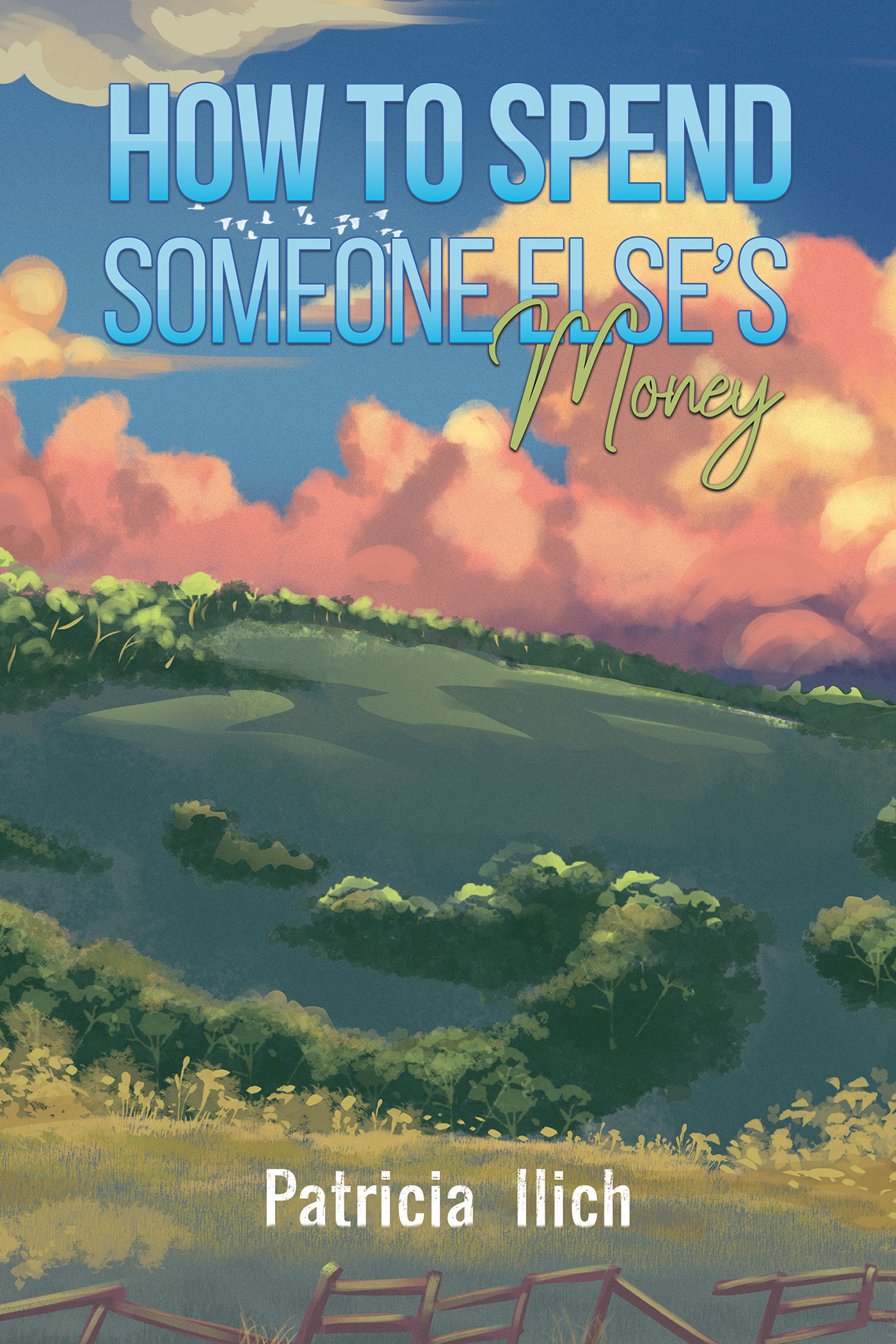 This image is the cover for the book How to Spend Someone Else's Money