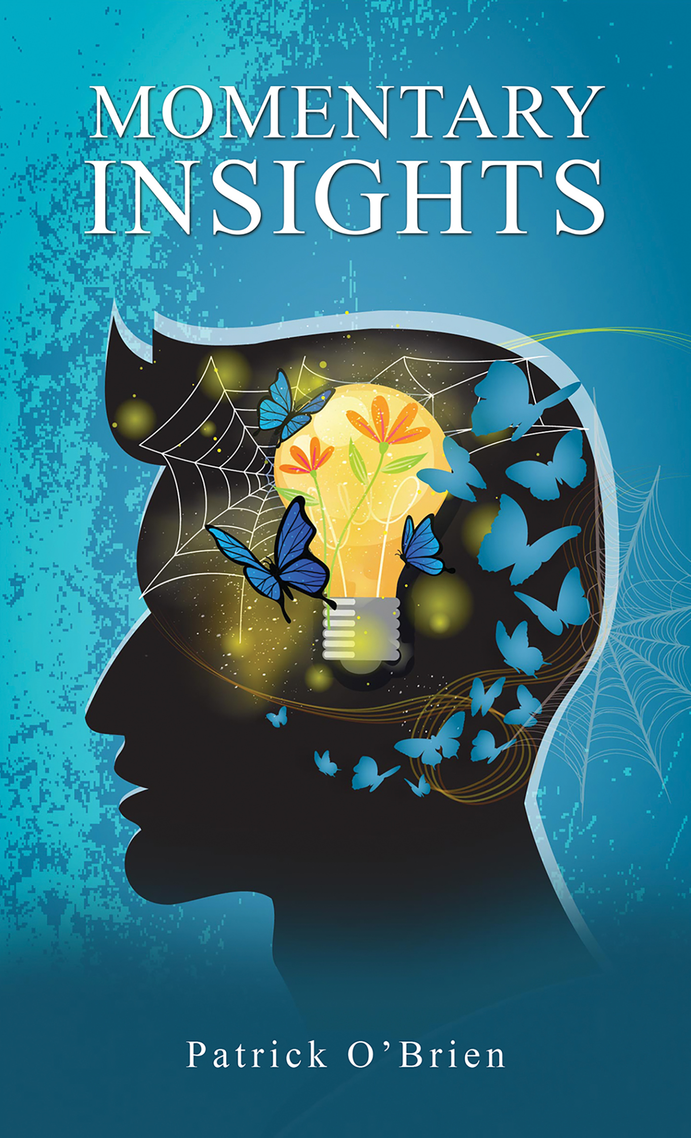 This image is the cover for the book Momentary Insights