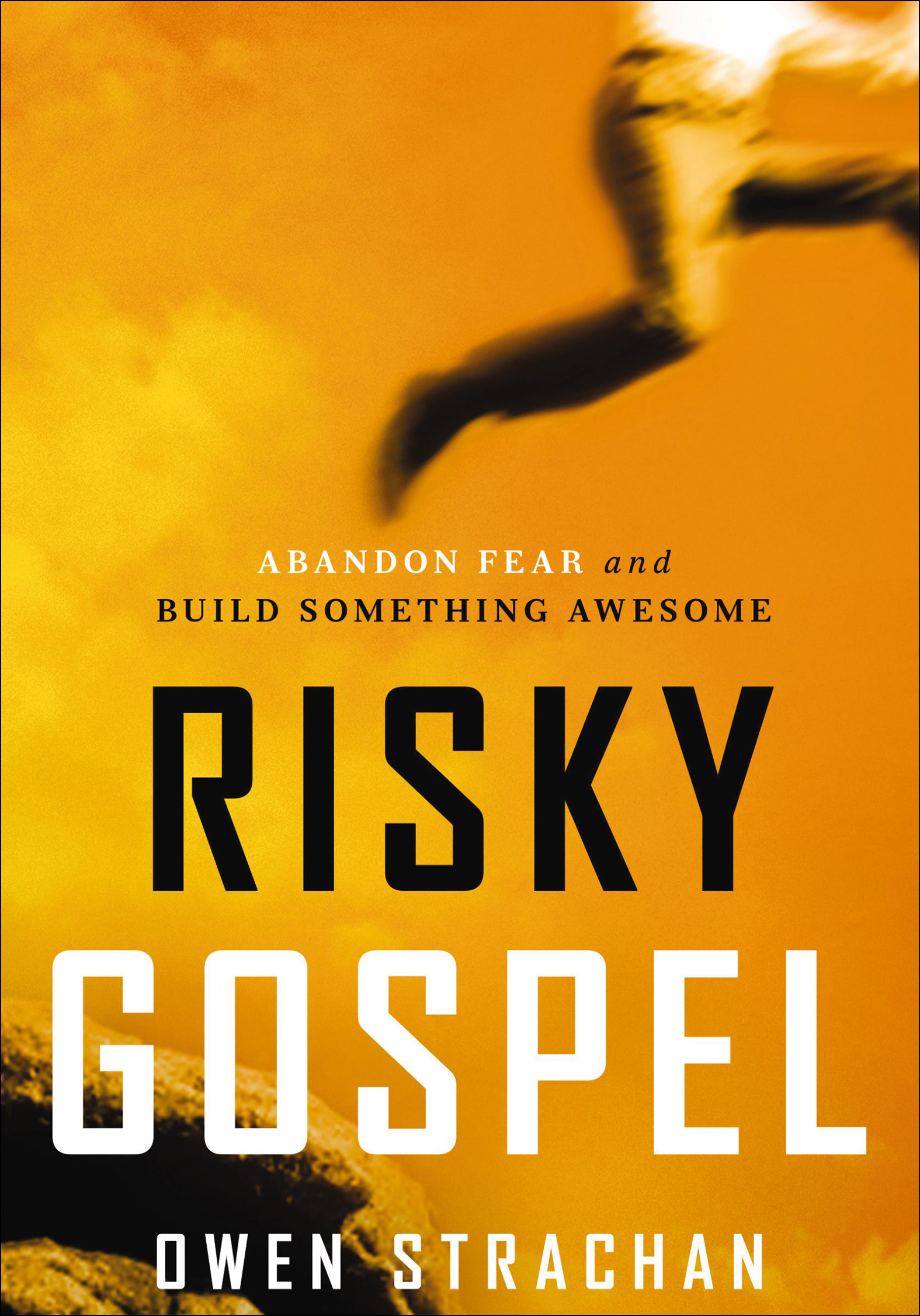 This image is the cover for the book Risky Gospel