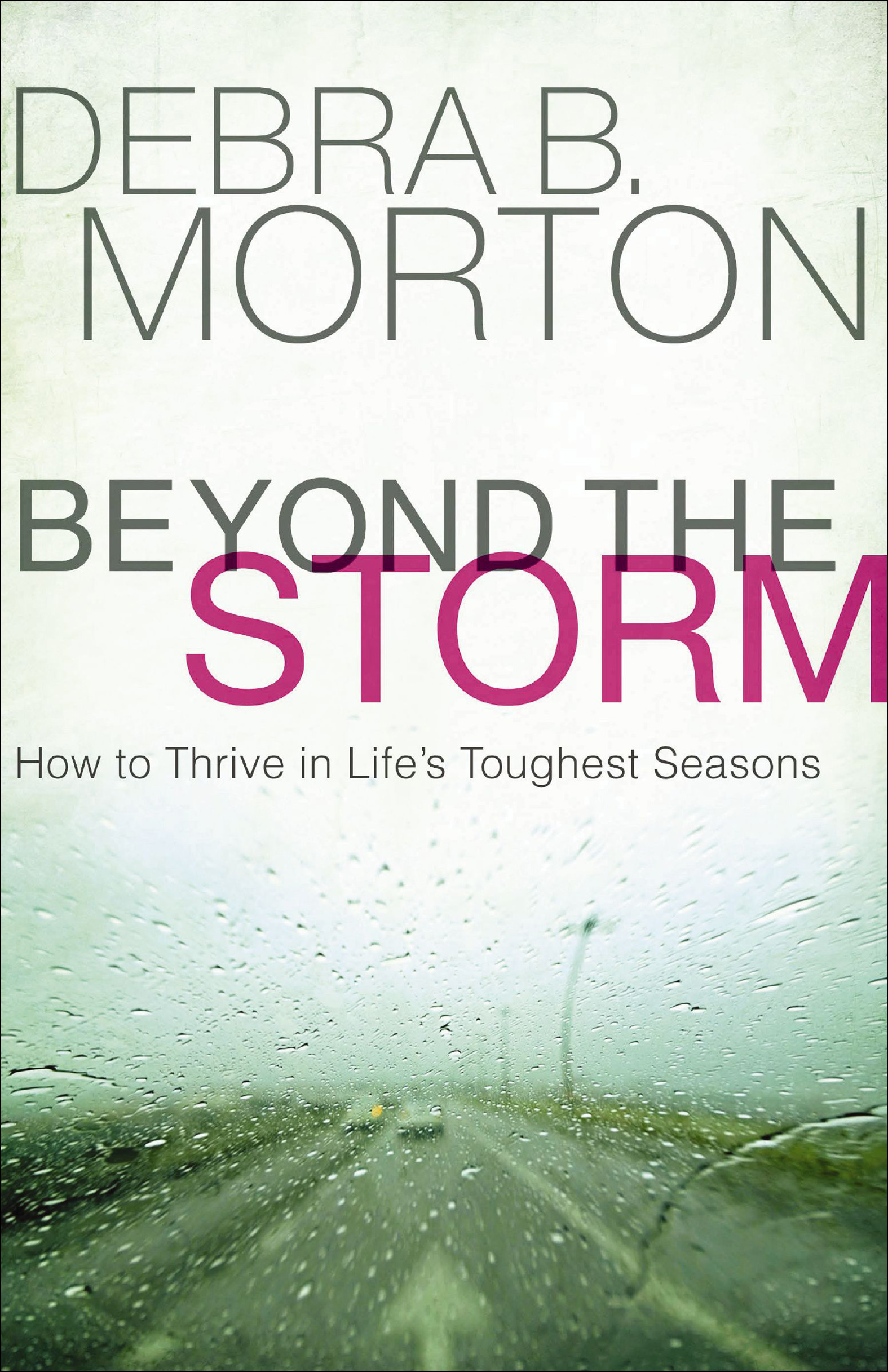 This image is the cover for the book Beyond the Storm