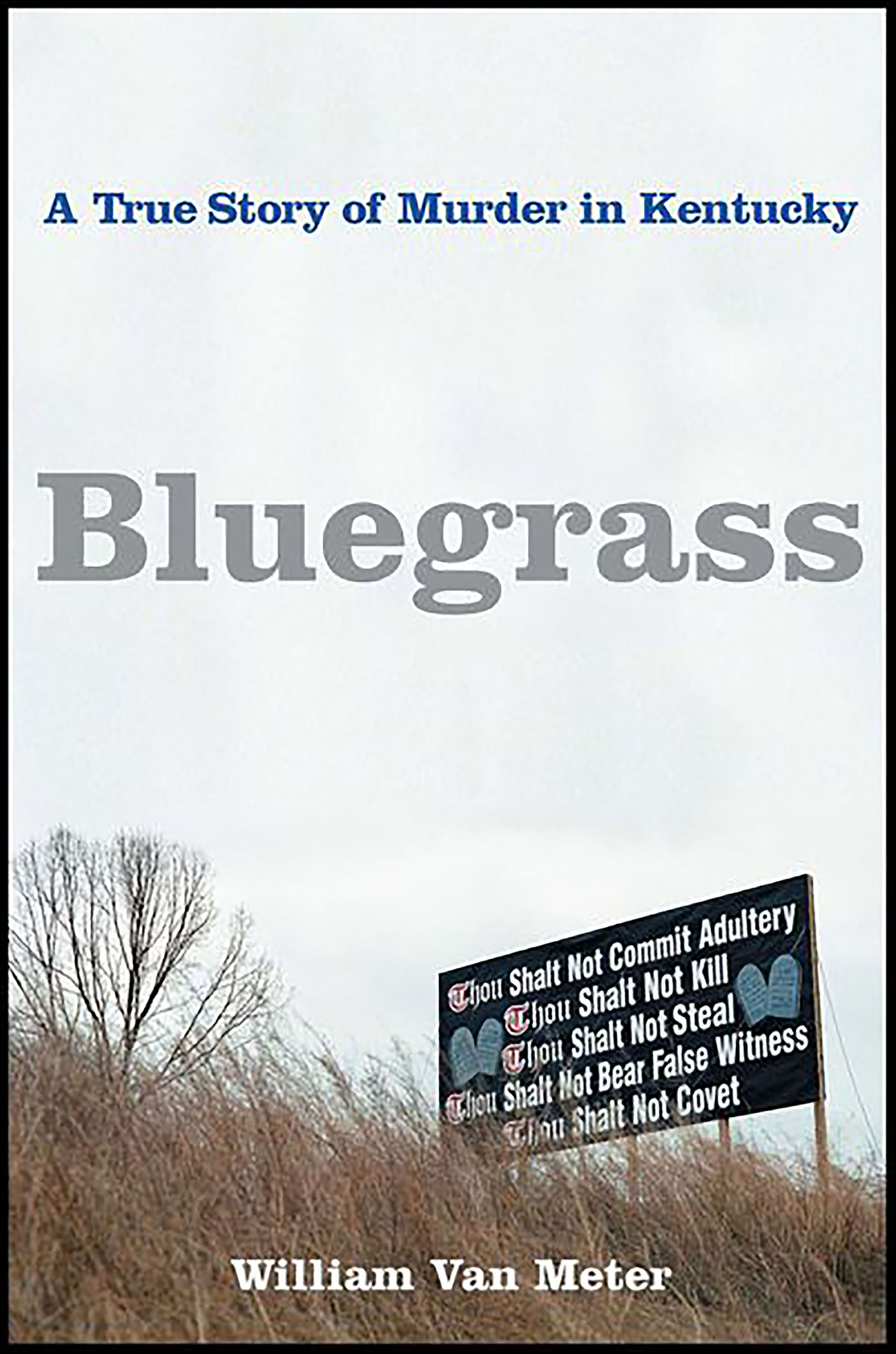 This image is the cover for the book Bluegrass