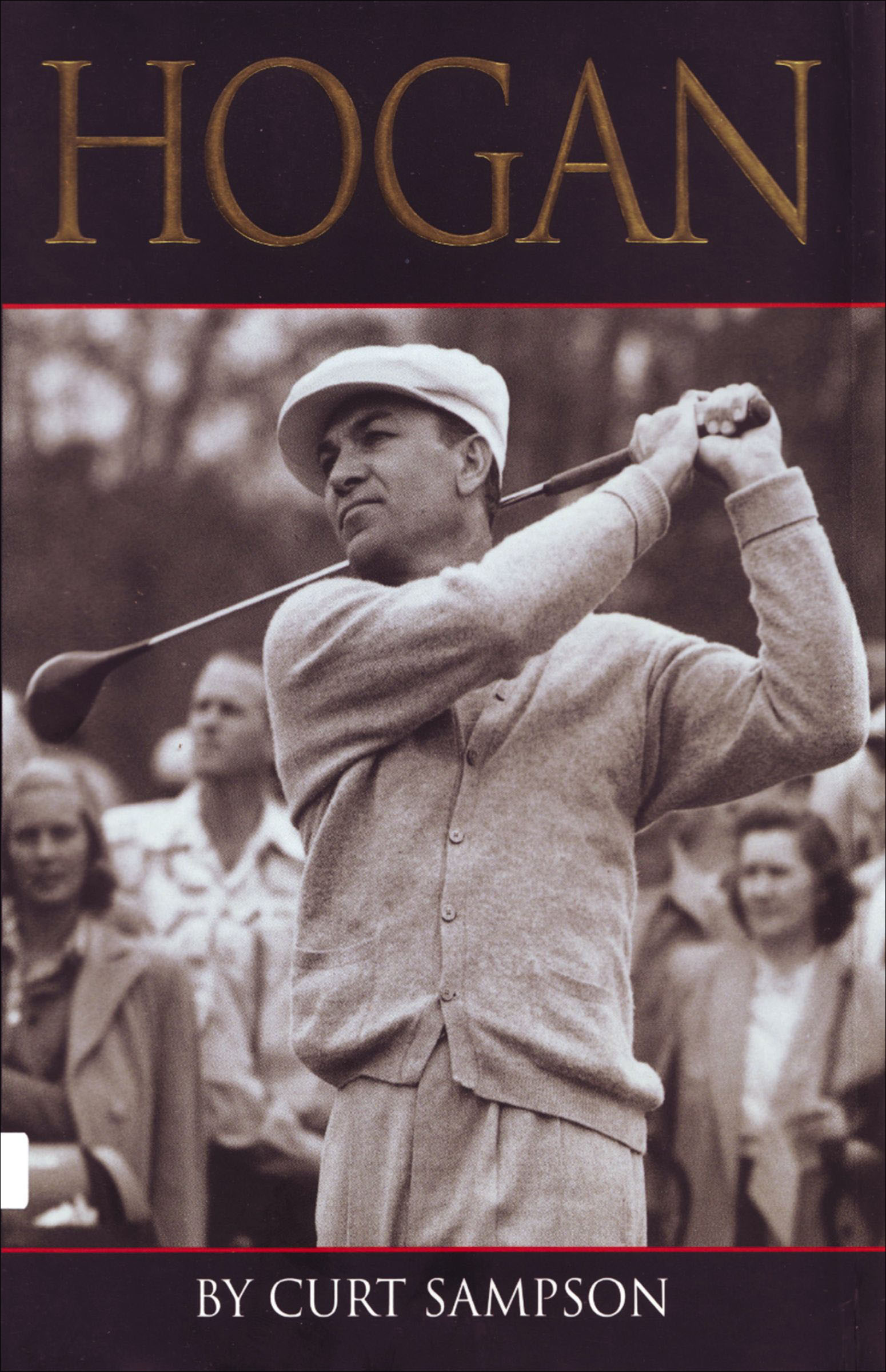 This image is the cover for the book Hogan