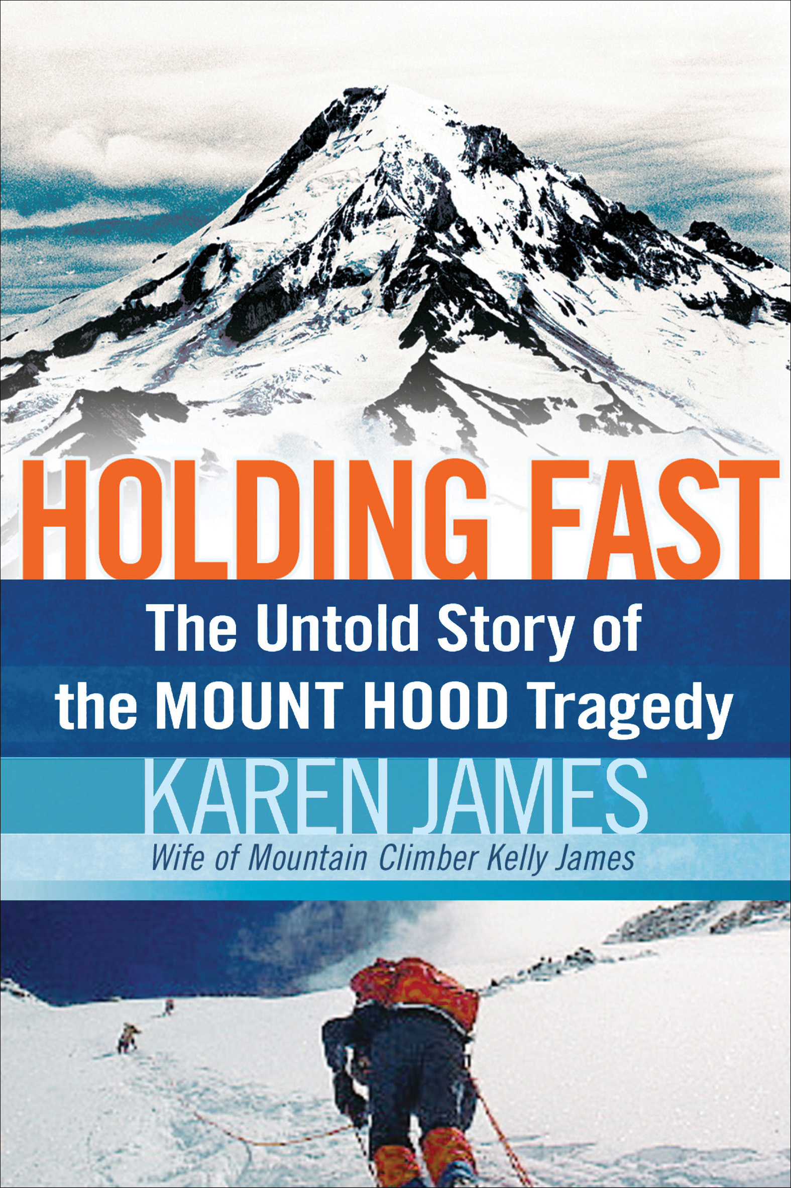 This image is the cover for the book Holding Fast