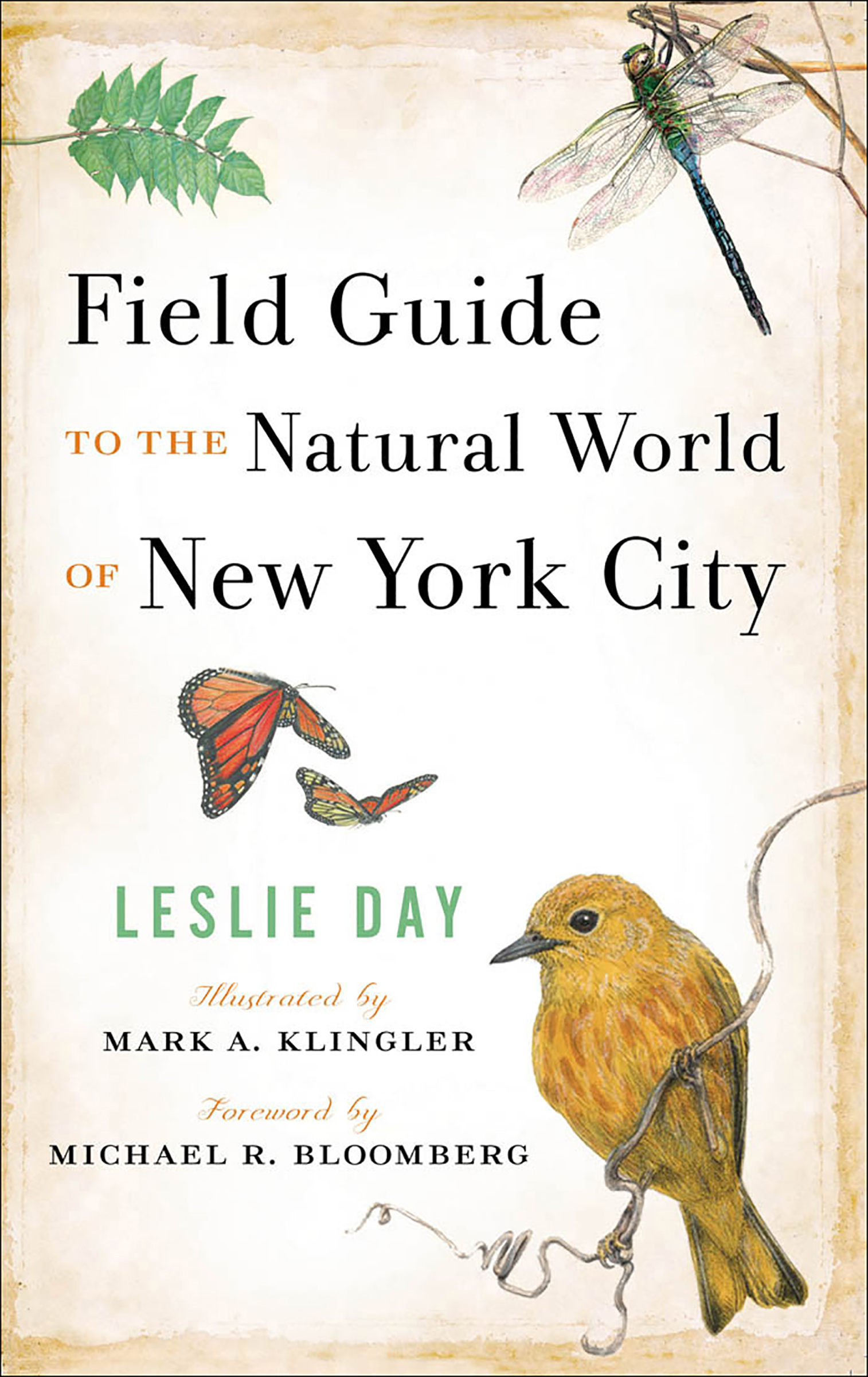 This image is the cover for the book Field Guide to the Natural World of New York City