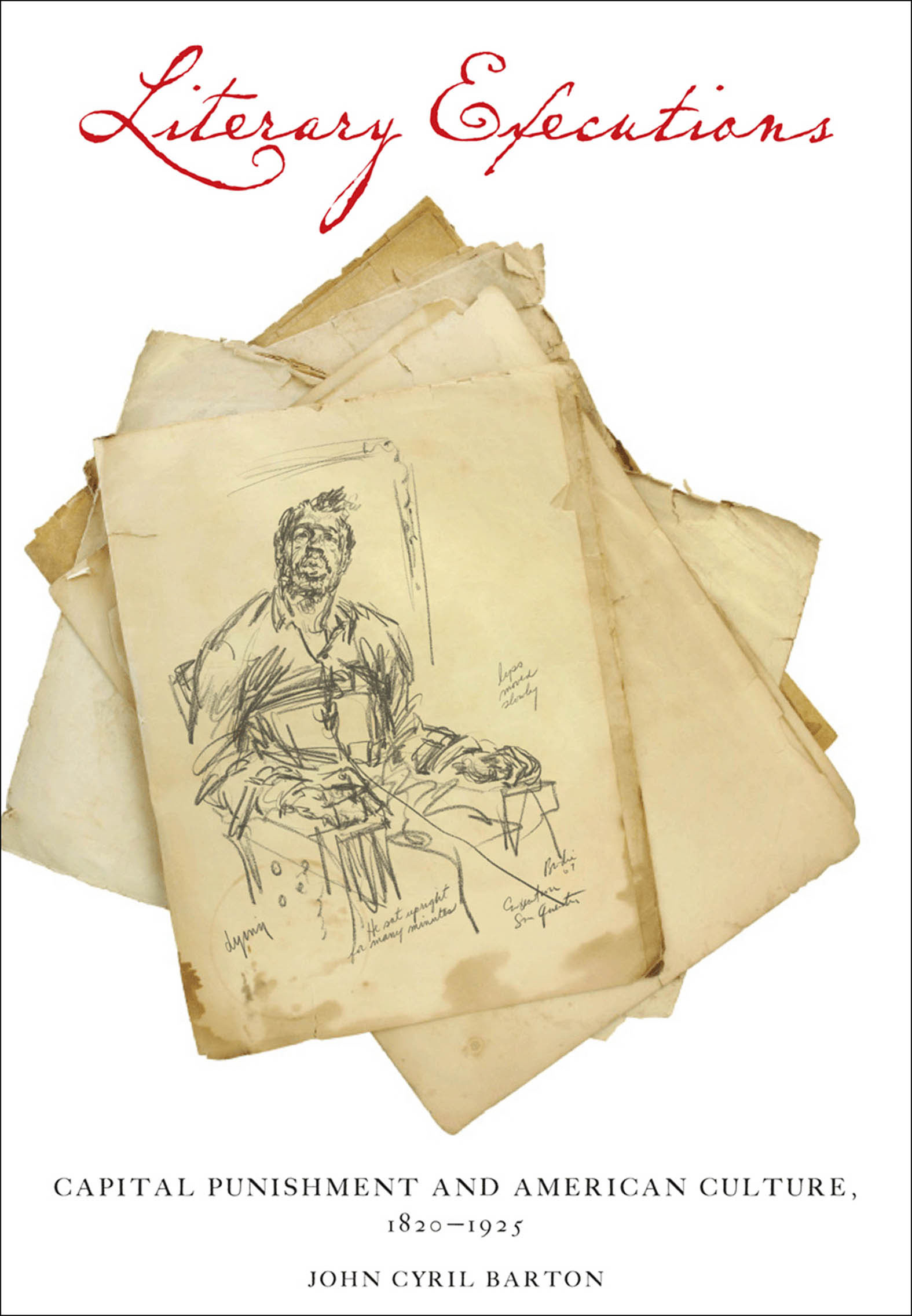 This image is the cover for the book Literary Executions