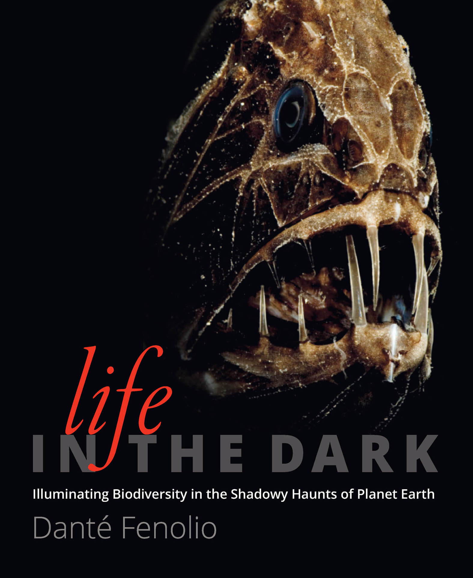 This image is the cover for the book Life in the Dark