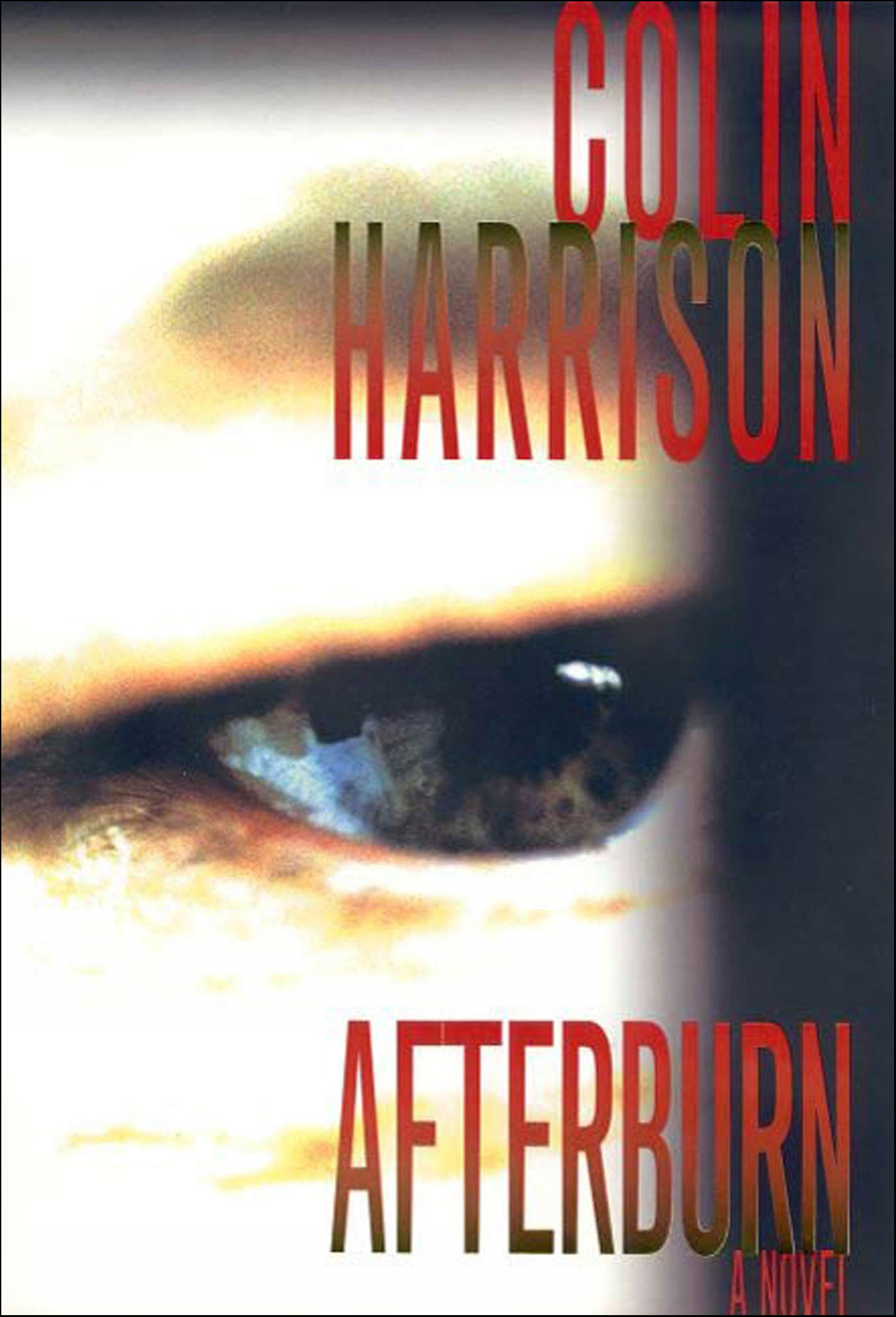 This image is the cover for the book Afterburn