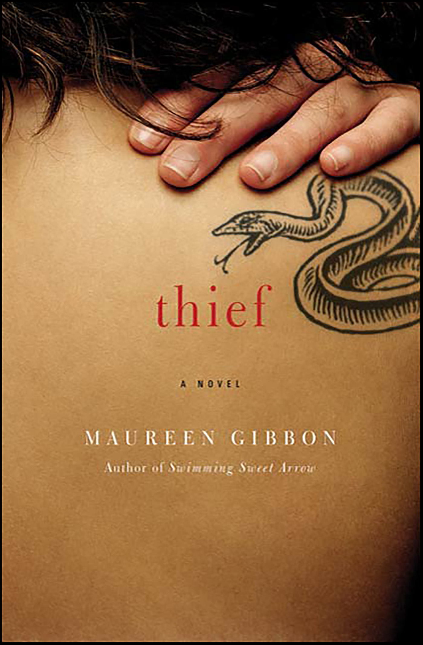 This image is the cover for the book Thief