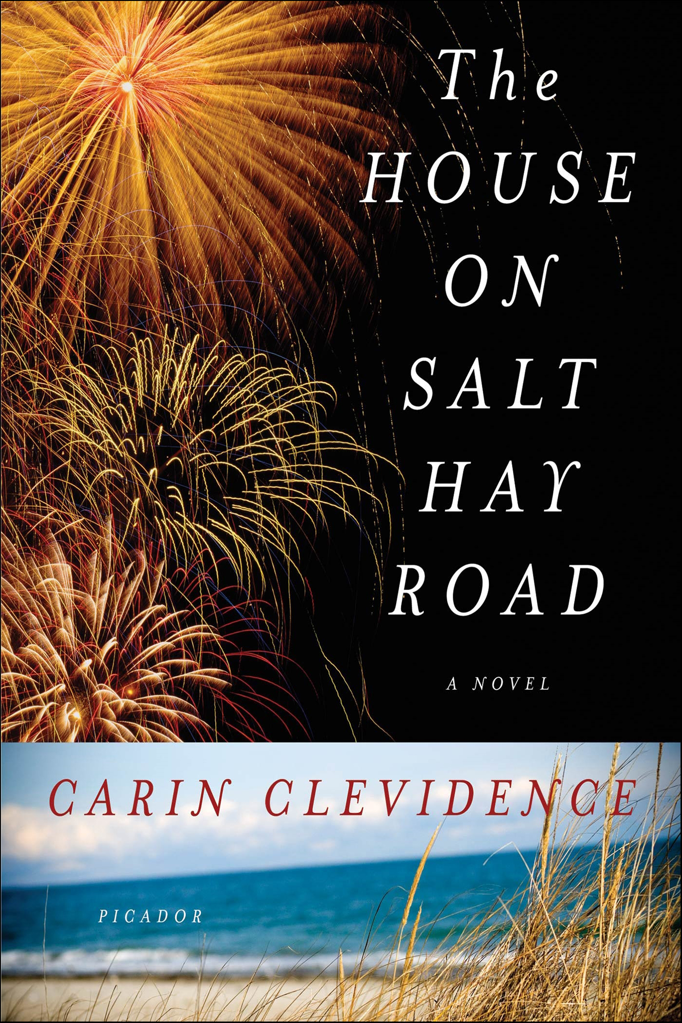 This image is the cover for the book House on Salt Hay Road