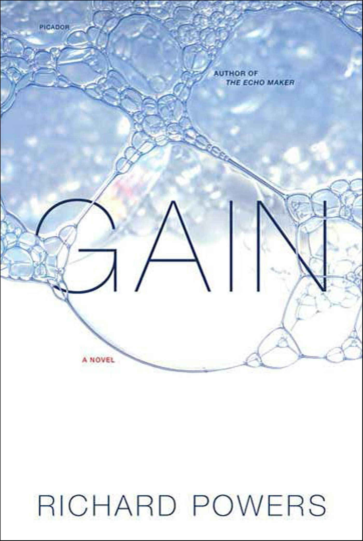 This image is the cover for the book Gain