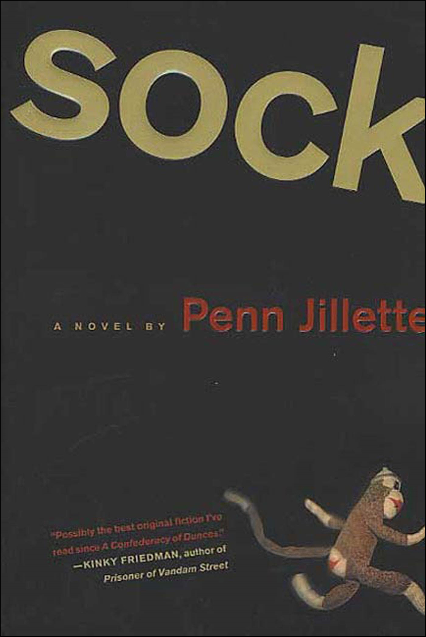 This image is the cover for the book Sock