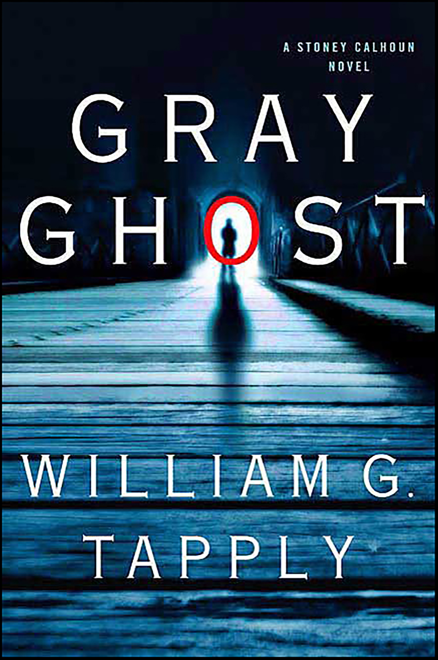 This image is the cover for the book Gray Ghost, Stoney Calhoun Novels