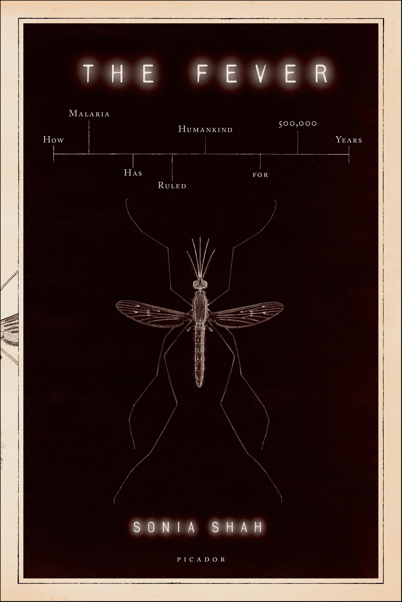 This image is the cover for the book Fever