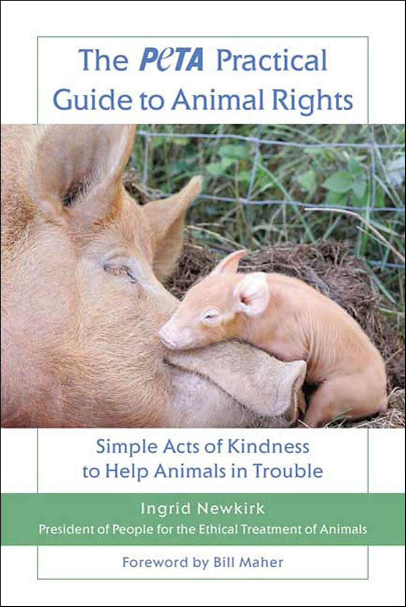 This image is the cover for the book PETA Practical Guide to Animal Rights