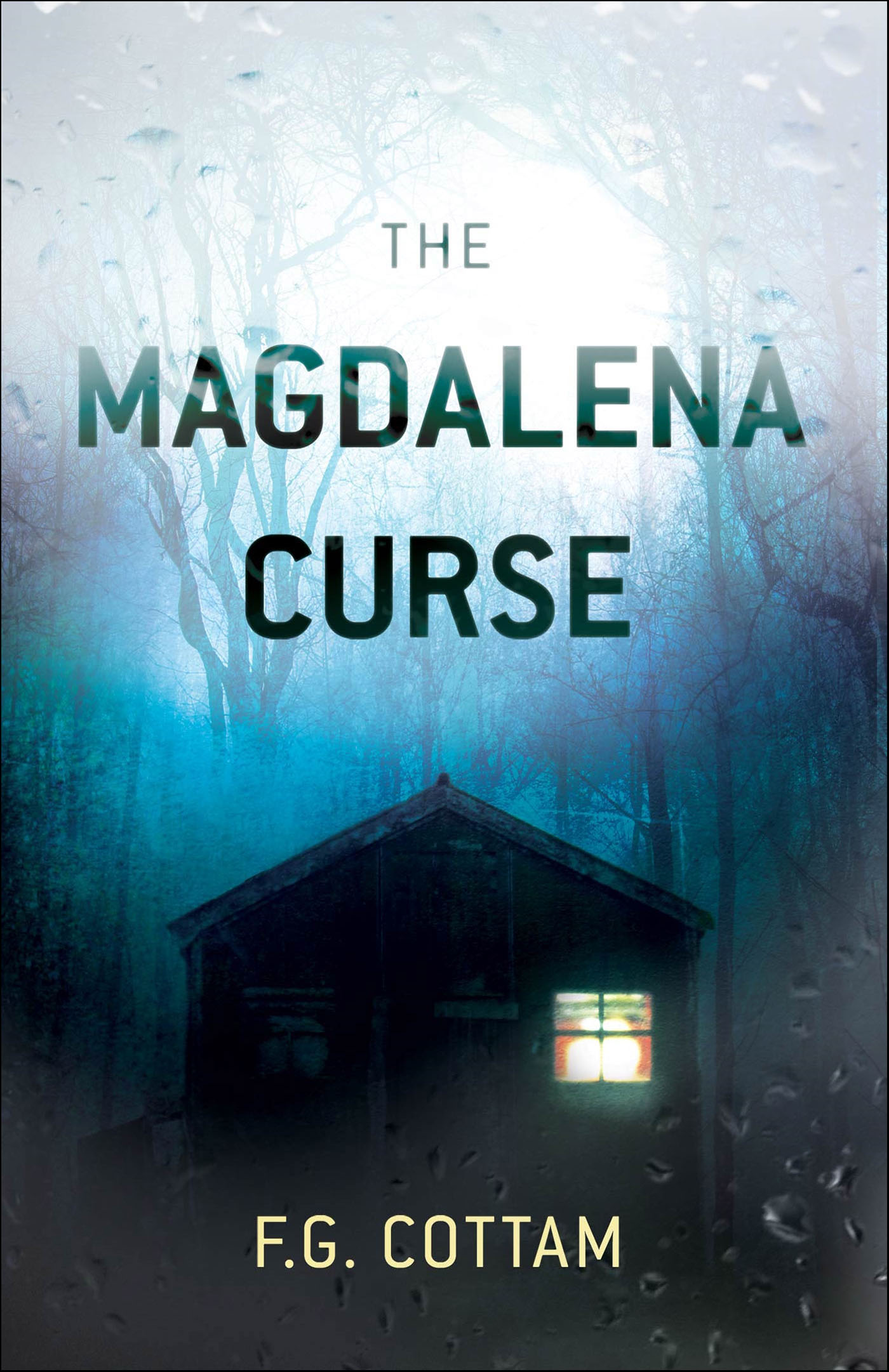 This image is the cover for the book The Magdalena Curse