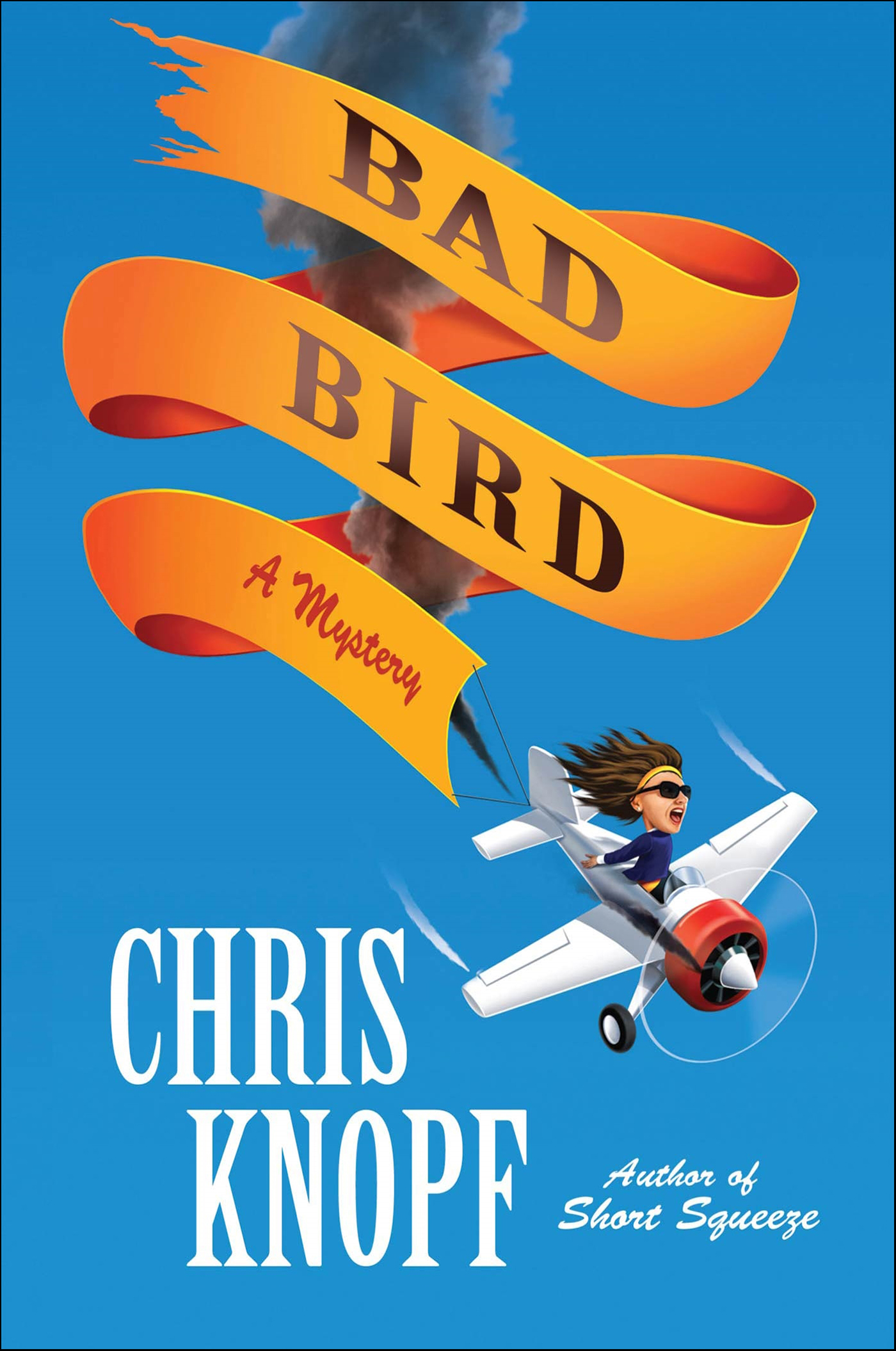 This image is the cover for the book Bad Bird, Jackie Swaitkowski Mysteries