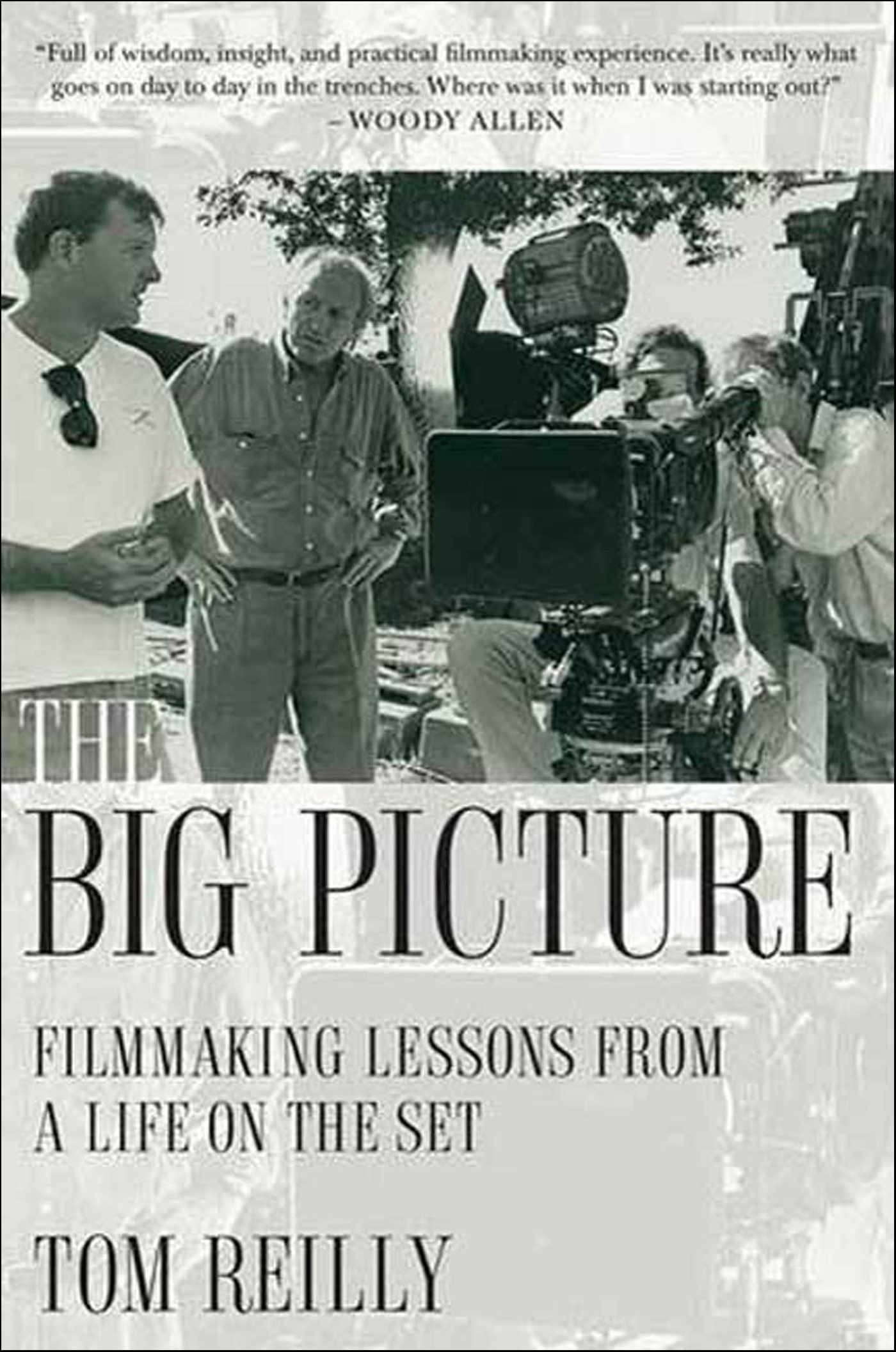 This image is the cover for the book Big Picture