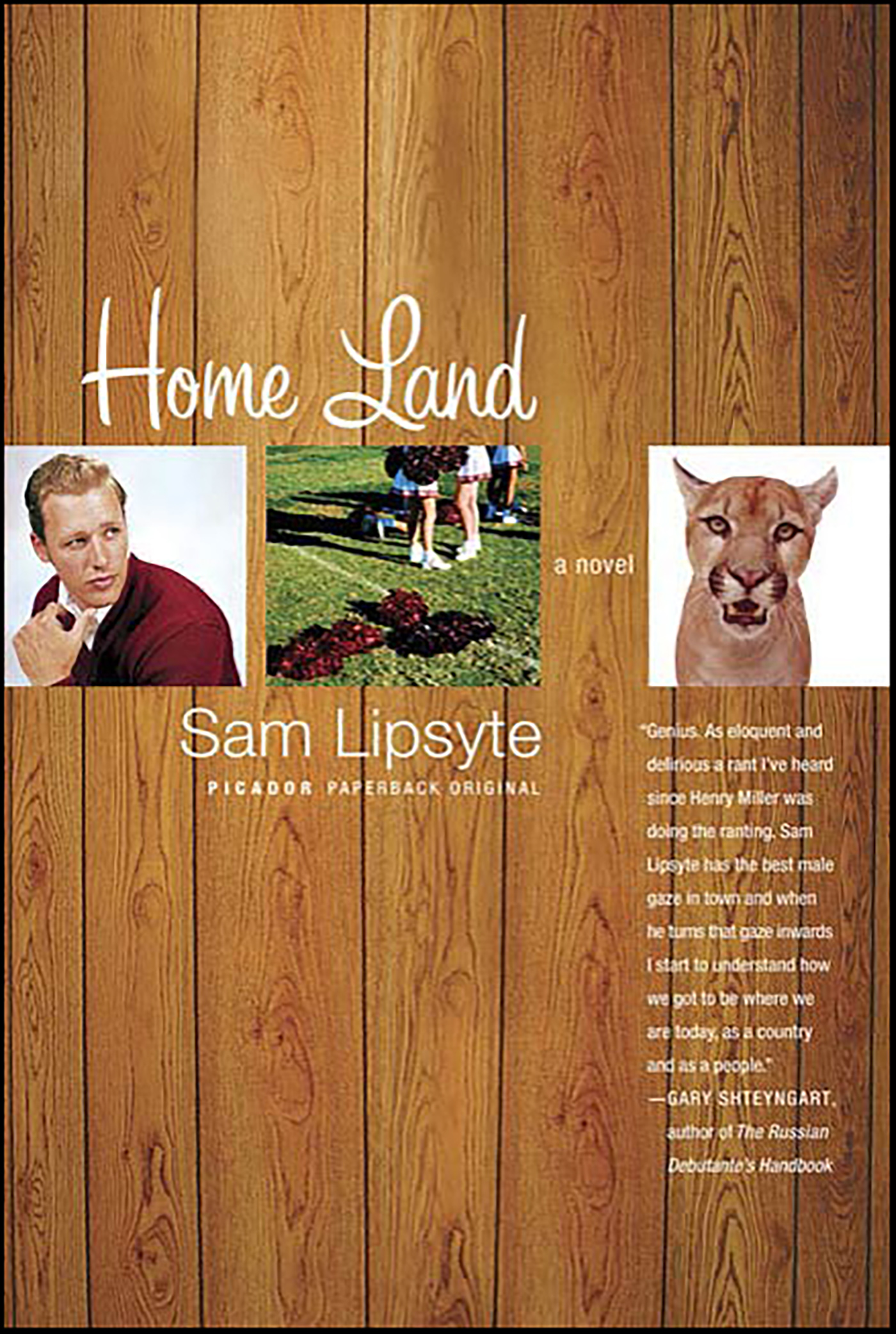 This image is the cover for the book Home Land