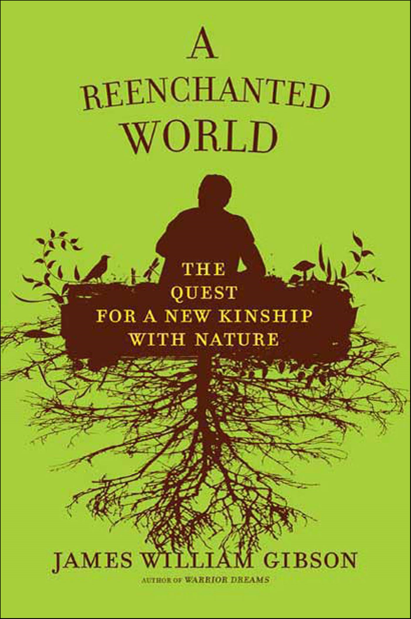 This image is the cover for the book Reenchanted World