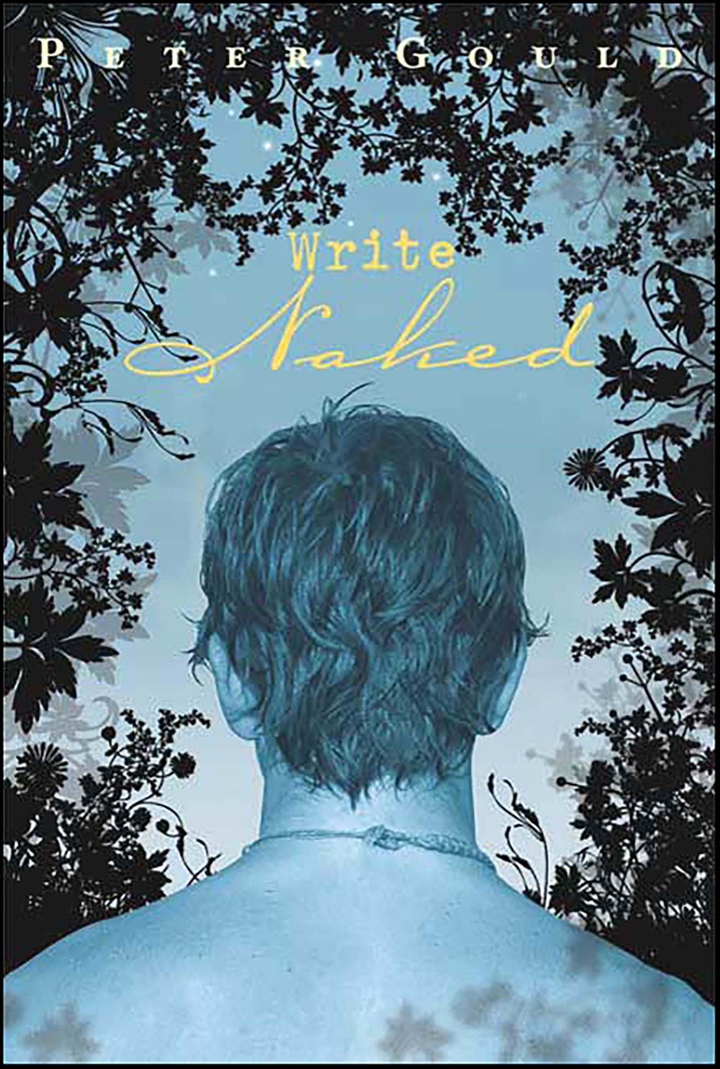 This image is the cover for the book Write Naked