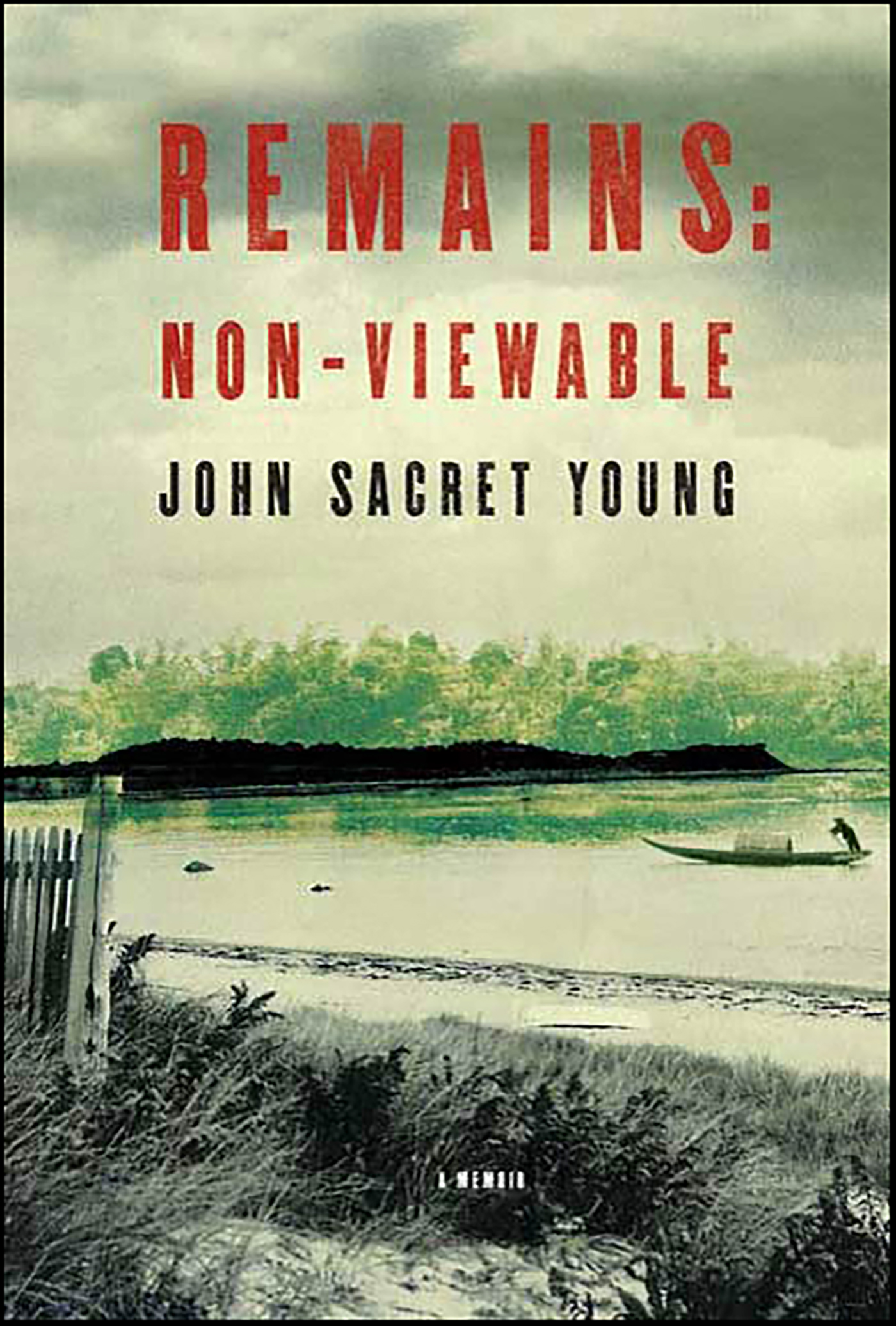 This image is the cover for the book Remains: Non-Viewable