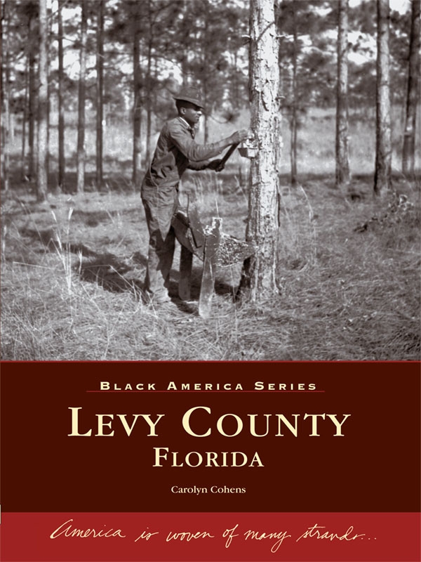 This image is the cover for the book Levy County, Florida, Black America Series