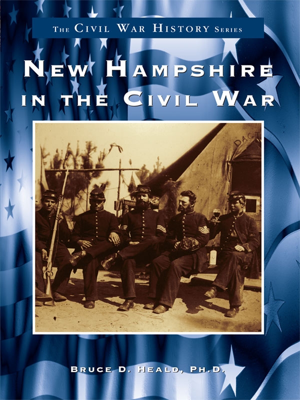 This image is the cover for the book New Hampshire in the Civil War, Civil War Series