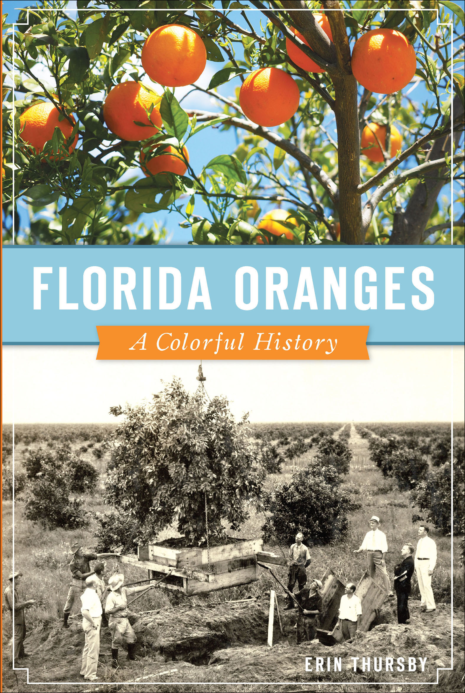 This image is the cover for the book Florida Oranges, American Palate