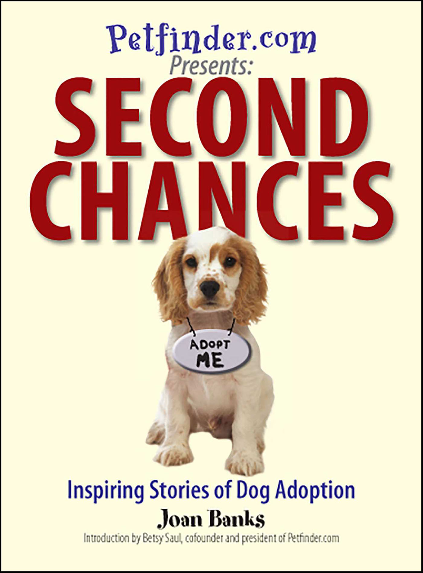 This image is the cover for the book Second Chances