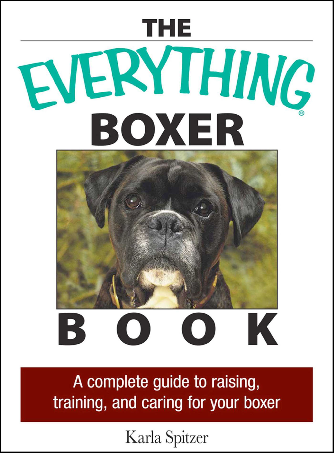This image is the cover for the book Everything Boxer Book, The Everything Books