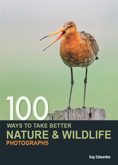 This image is the cover for the book 100 Ways to Take Better Nature & Wildlife Photographs