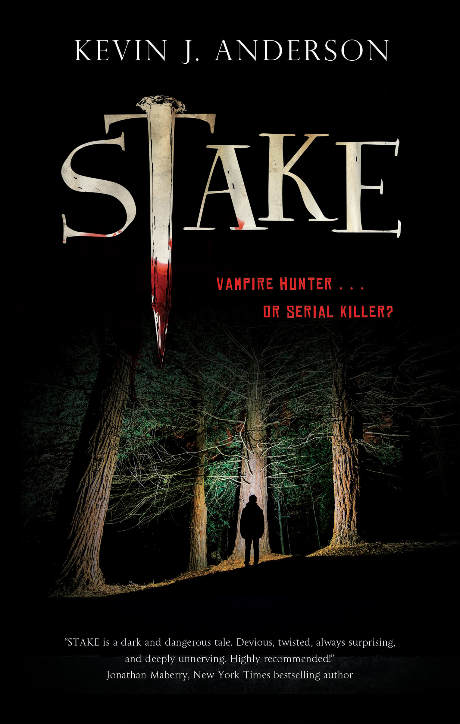 This image is the cover for the book Stake