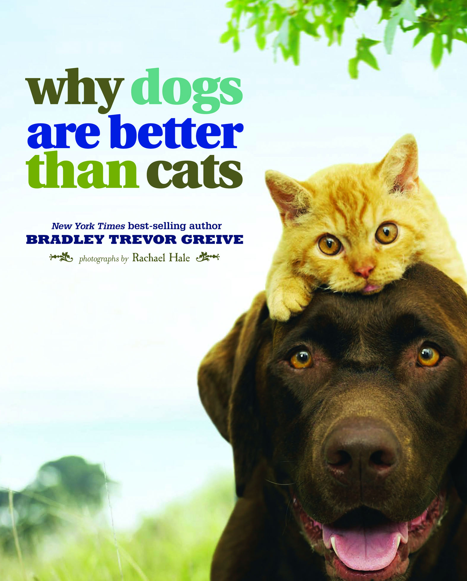 This image is the cover for the book Why Dogs Are Better Than Cats
