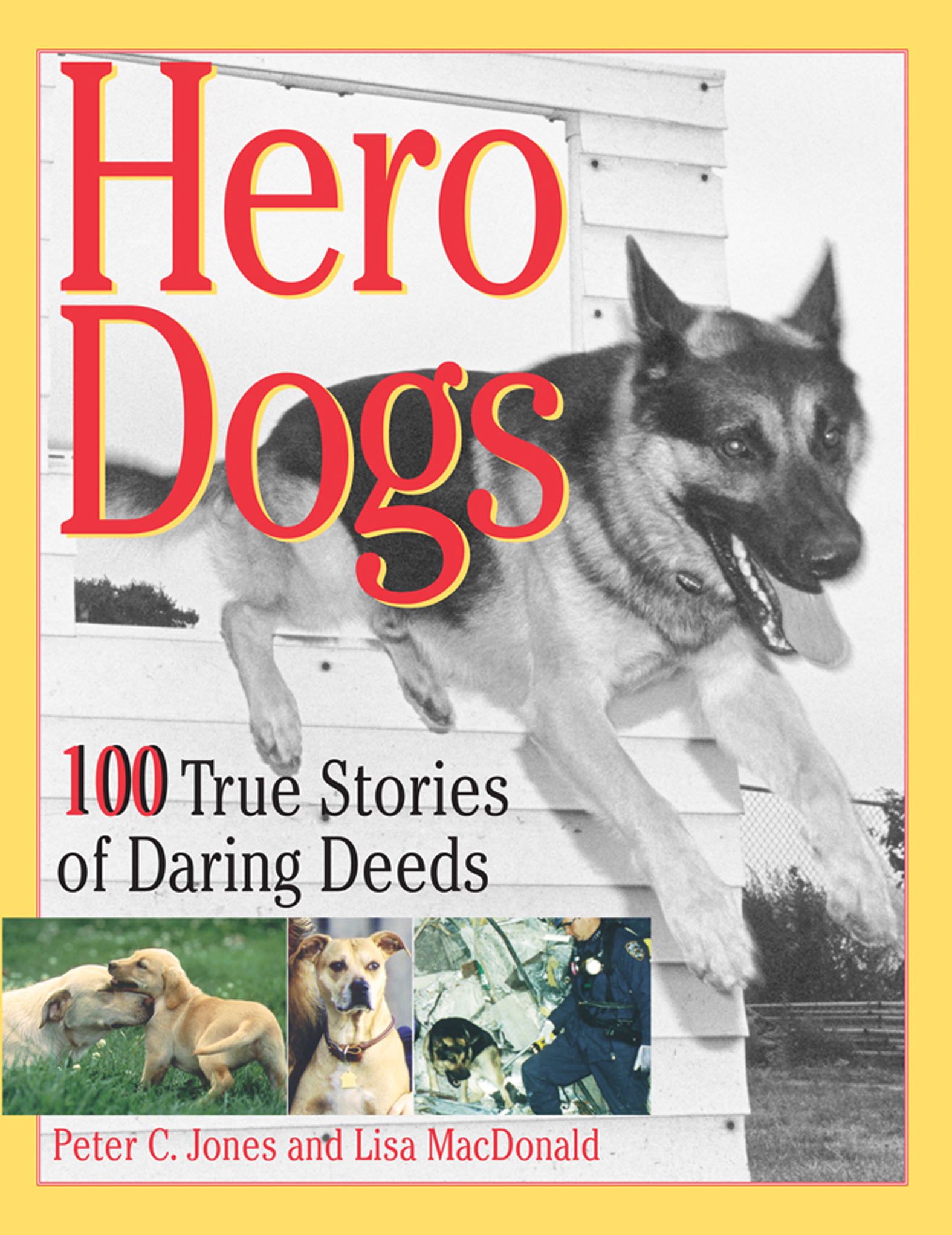 This image is the cover for the book Hero Dogs