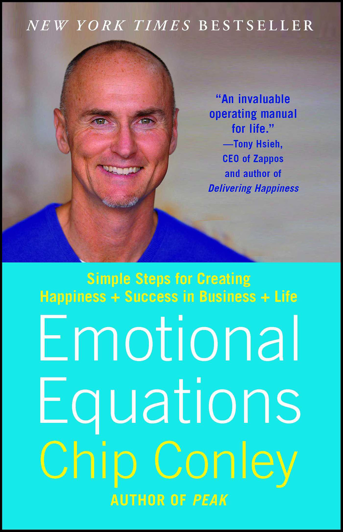 This image is the cover for the book Emotional Equations