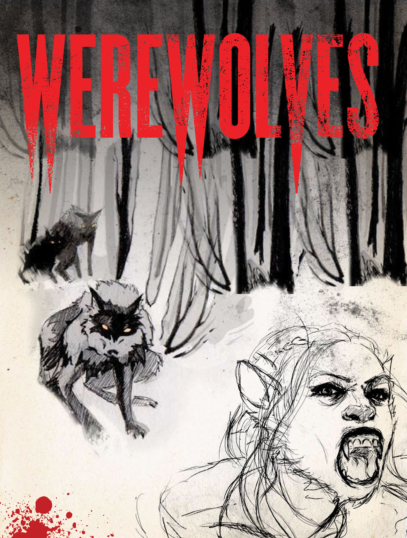 This image is the cover for the book Werewolves