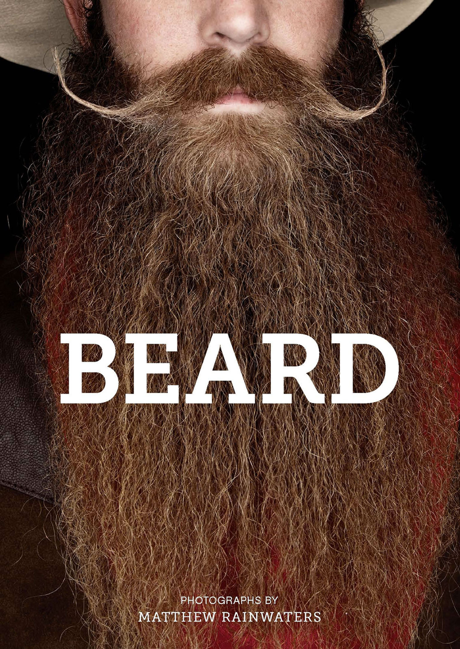 This image is the cover for the book Beard