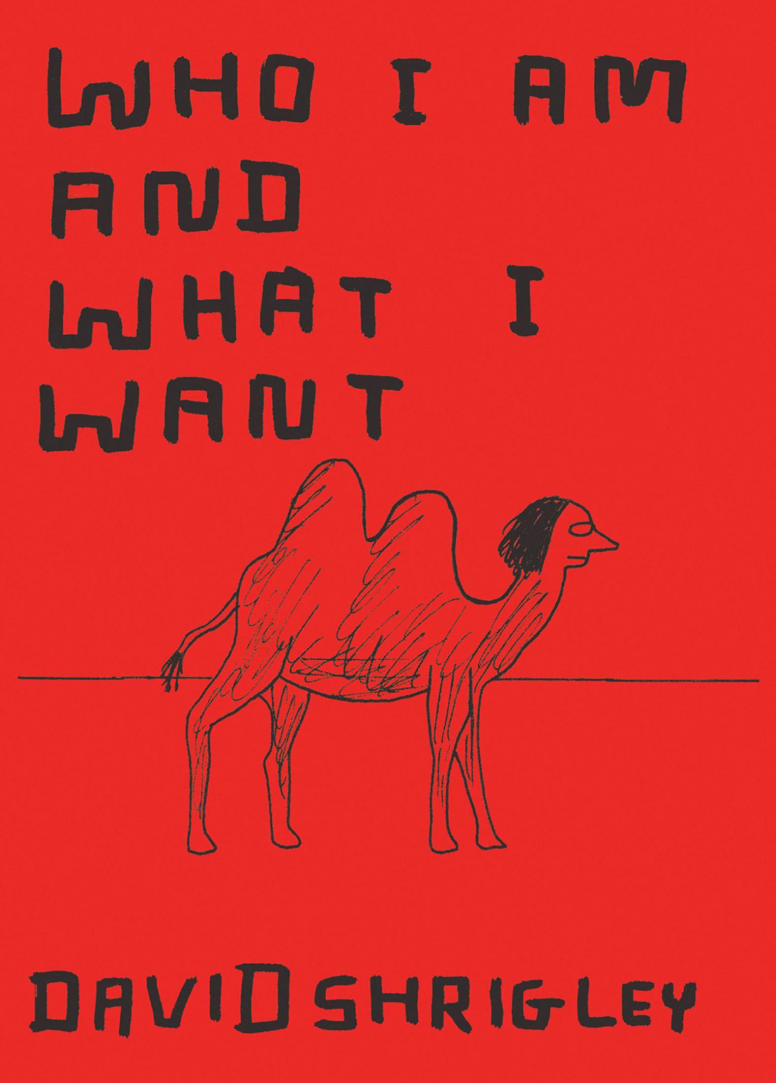 This image is the cover for the book Who I Am and What I Want