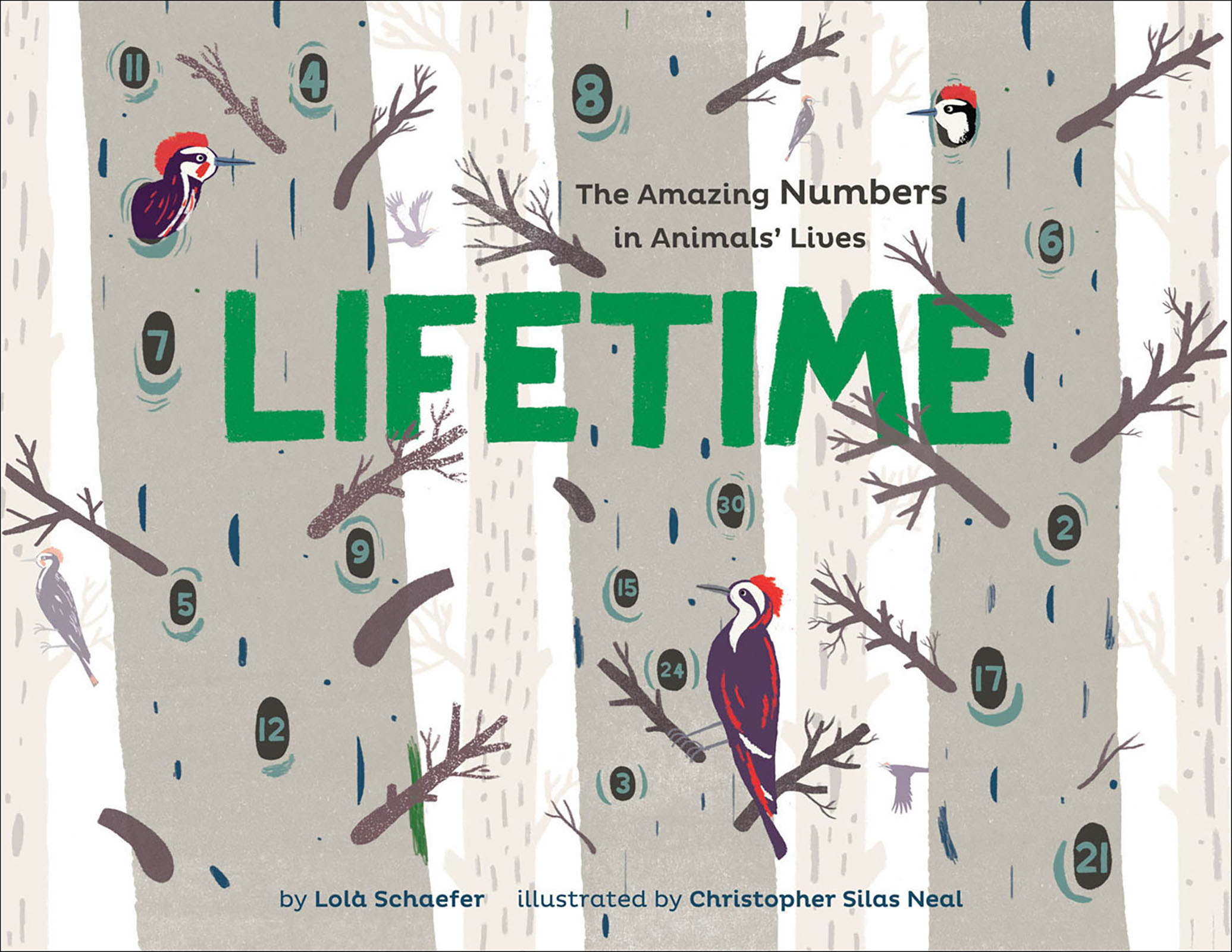 This image is the cover for the book Lifetime