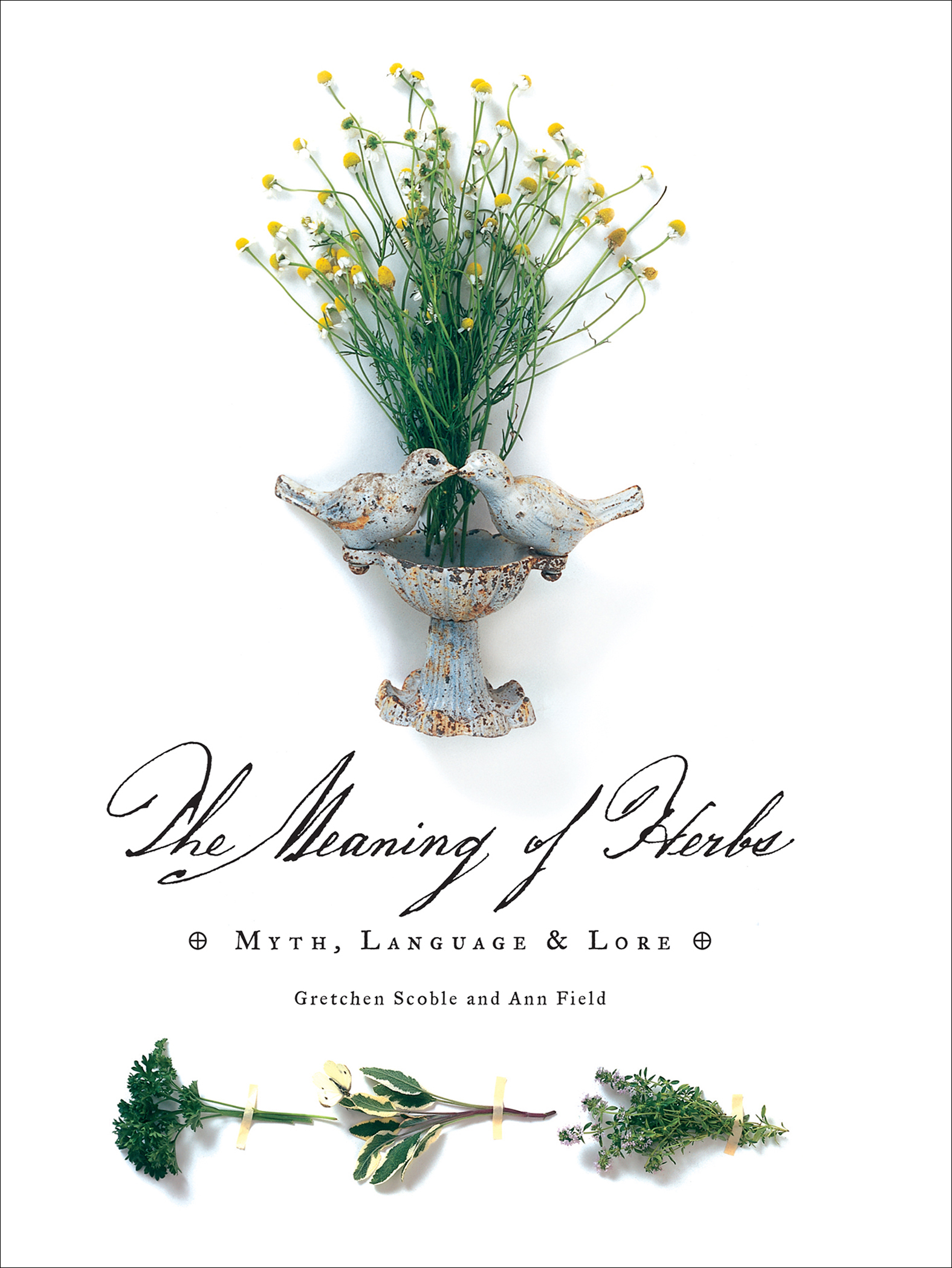 This image is the cover for the book Meaning of Herbs