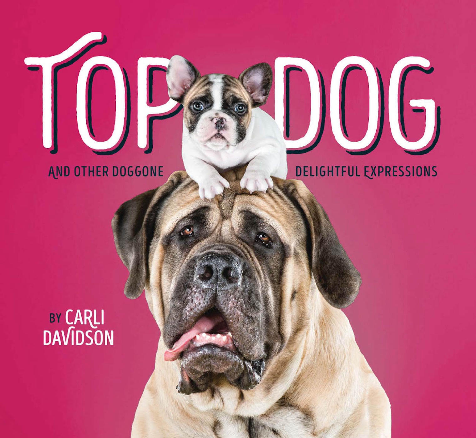 This image is the cover for the book Top Dog