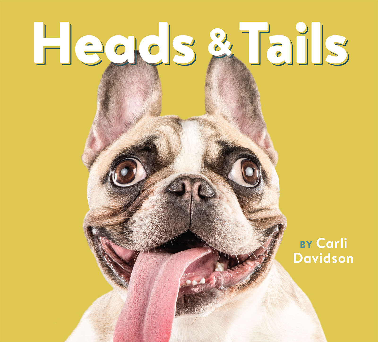 This image is the cover for the book Heads & Tails