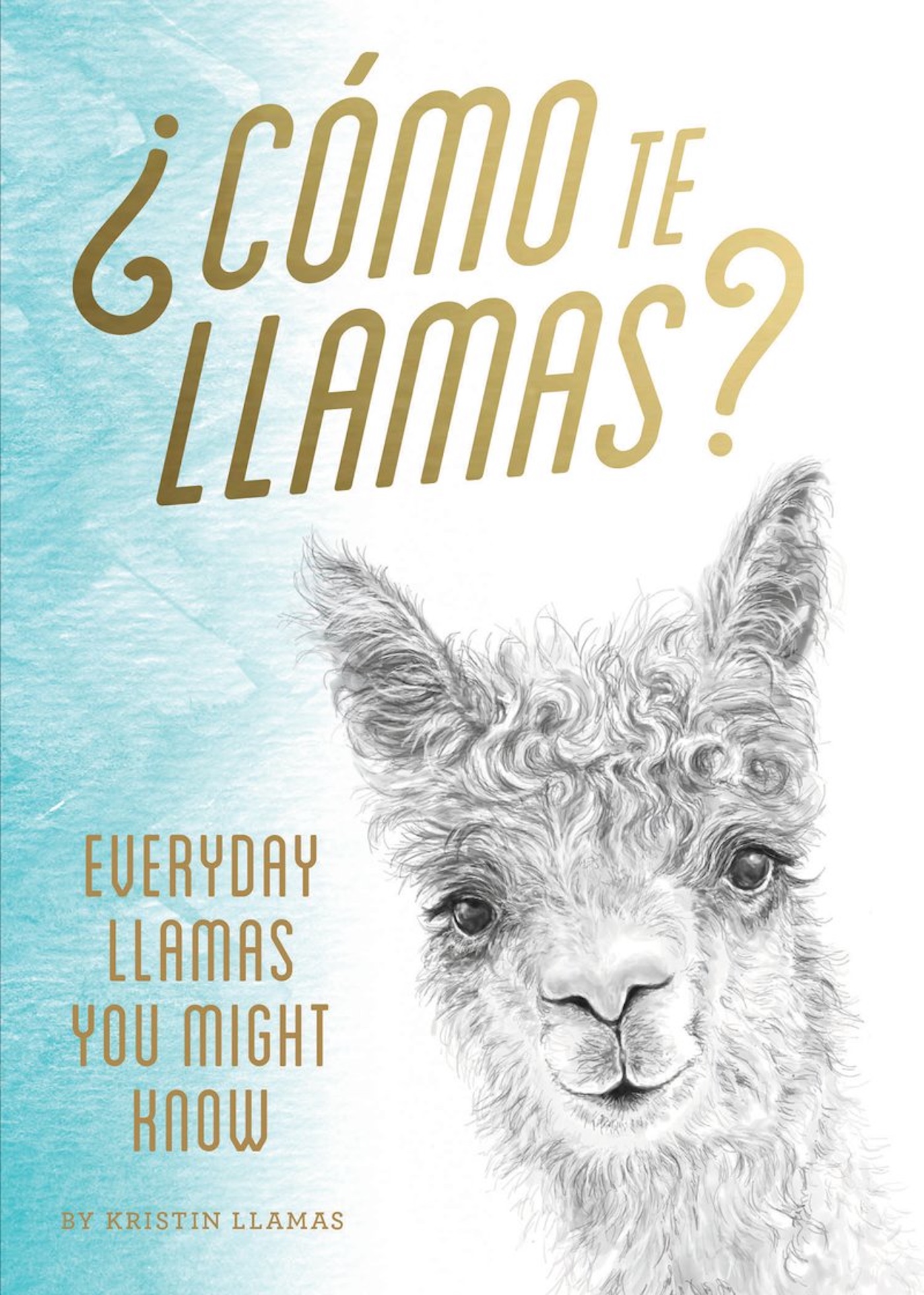 This image is the cover for the book ¿Cómo Te Llamas?