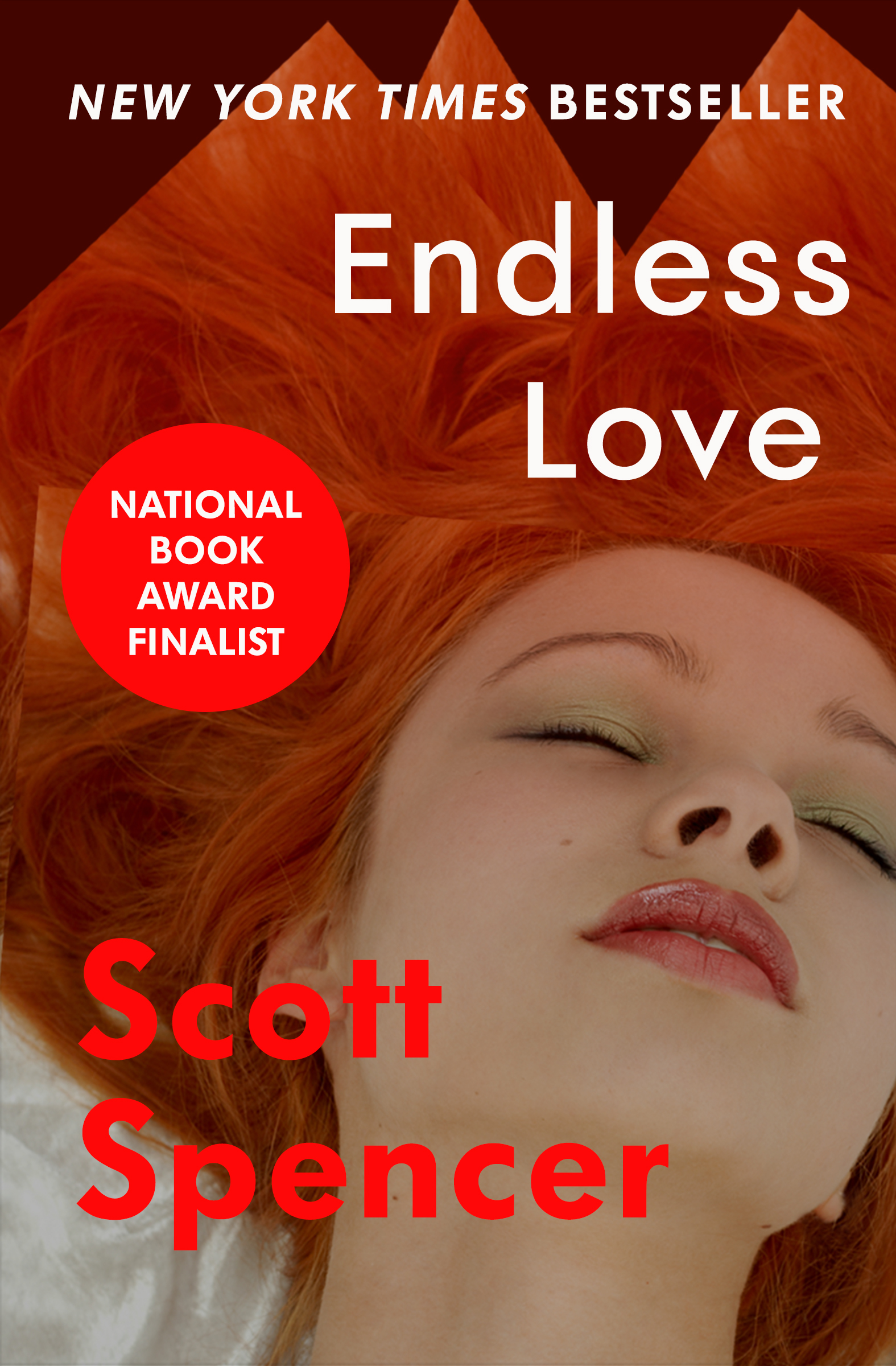 This image is the cover for the book Endless Love