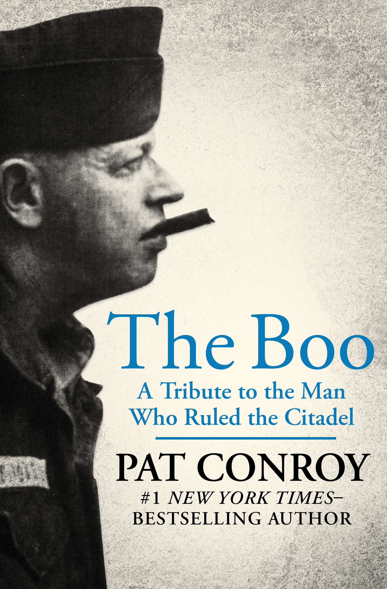 This image is the cover for the book Boo